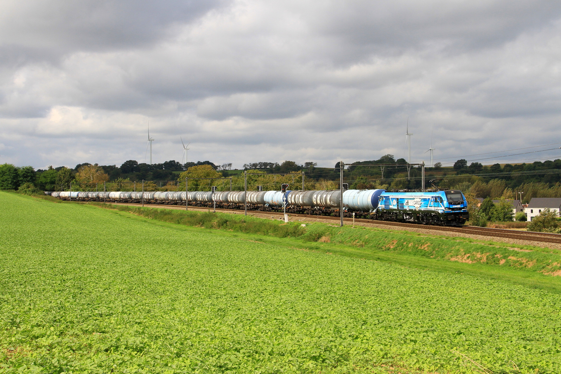 Stadler Euro 9000 – foto 12