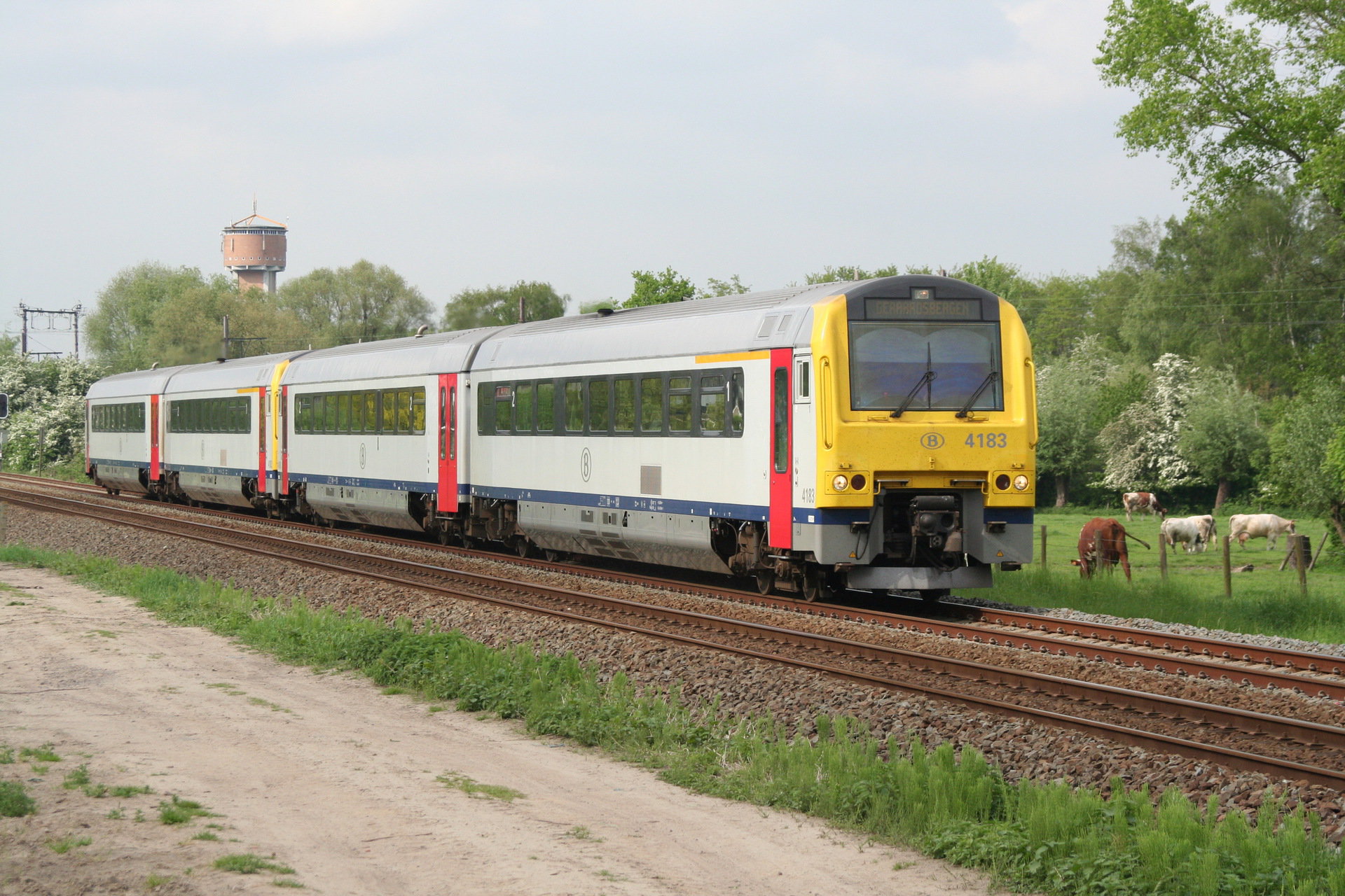 Alstom MW41 – photo 15