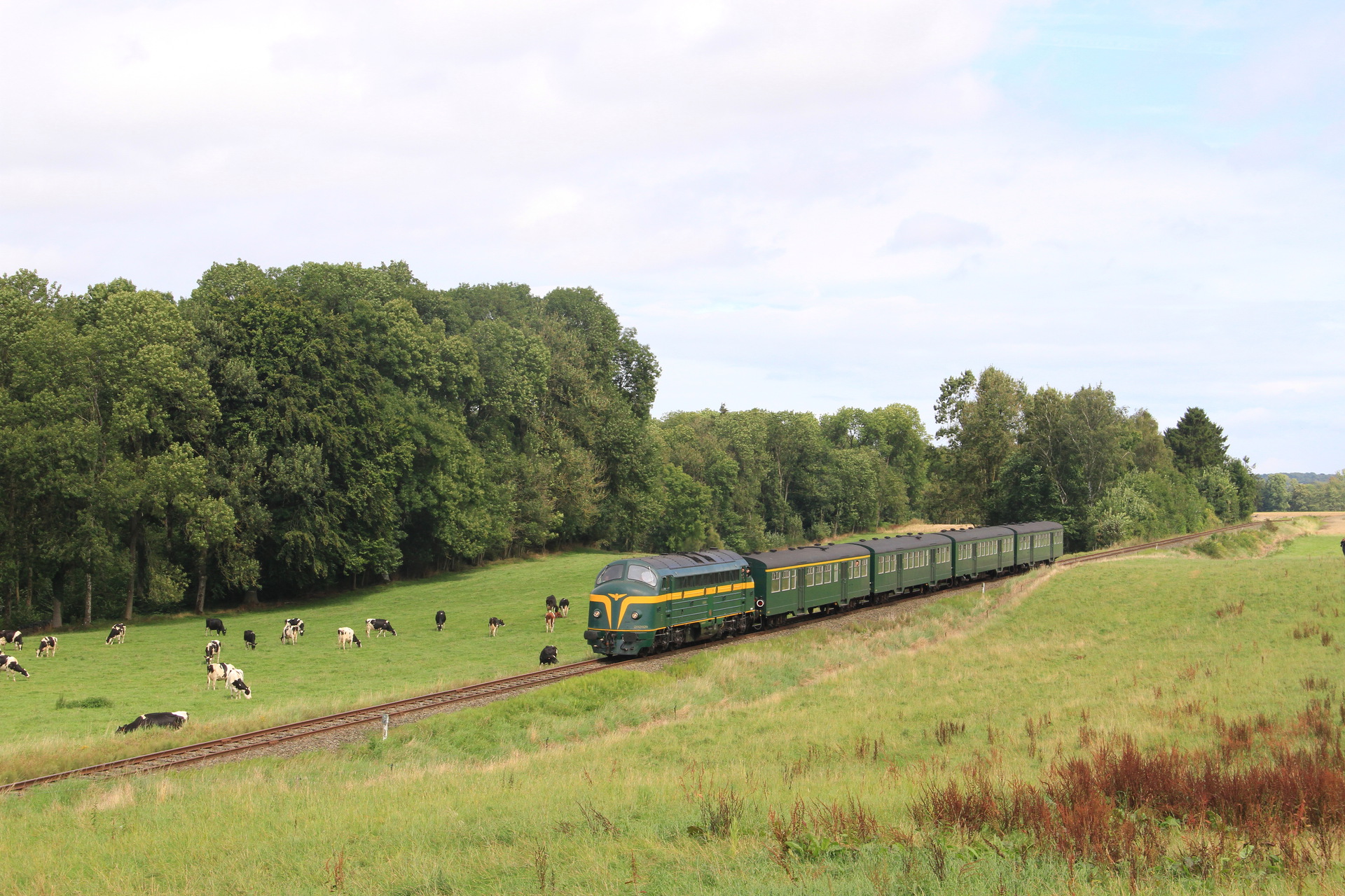 AFB SNCB 202, 52-54 / CFL 1600 – foto 5