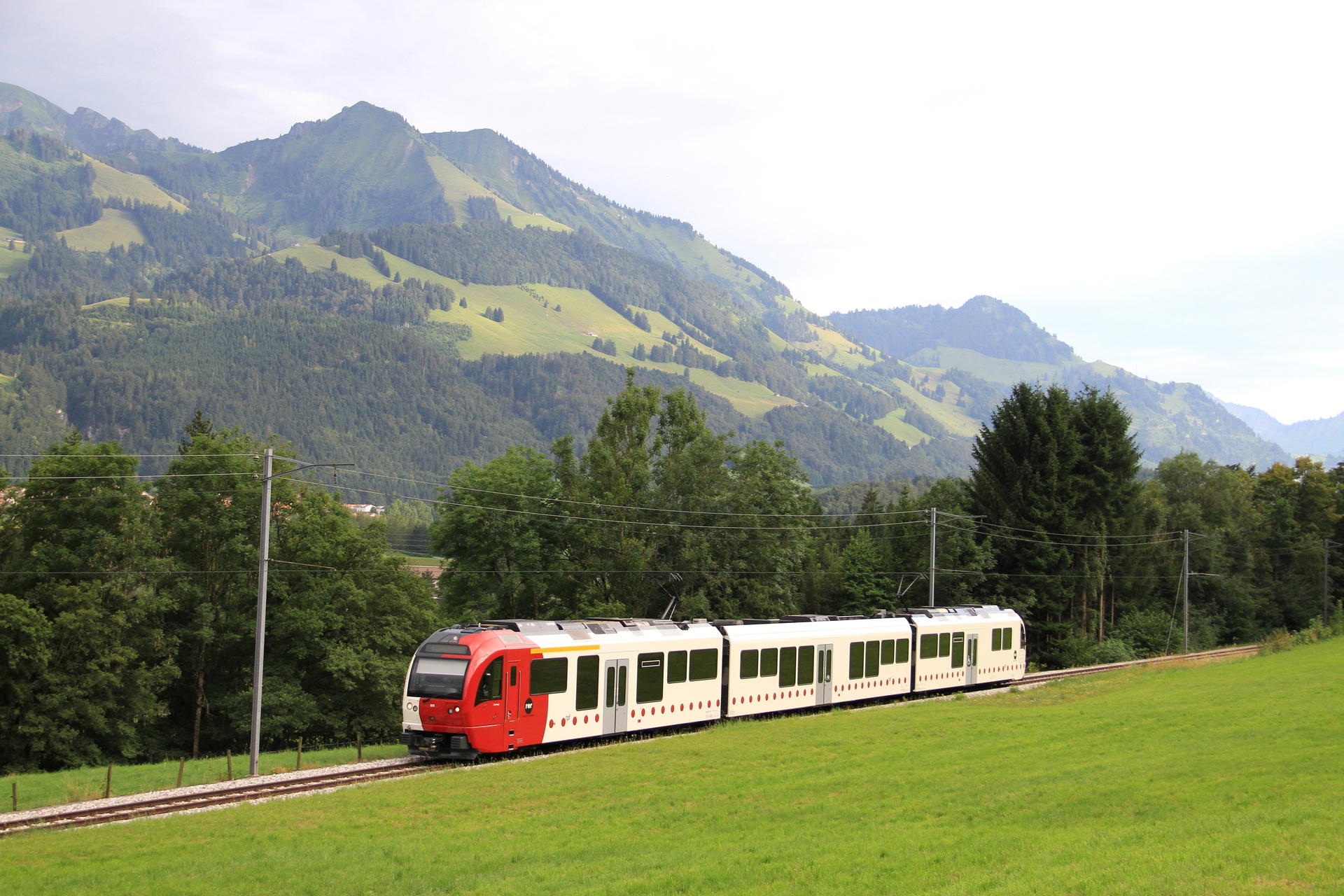 Stadler TPF ABe 2/4+B+Be 2/4 – photo 4