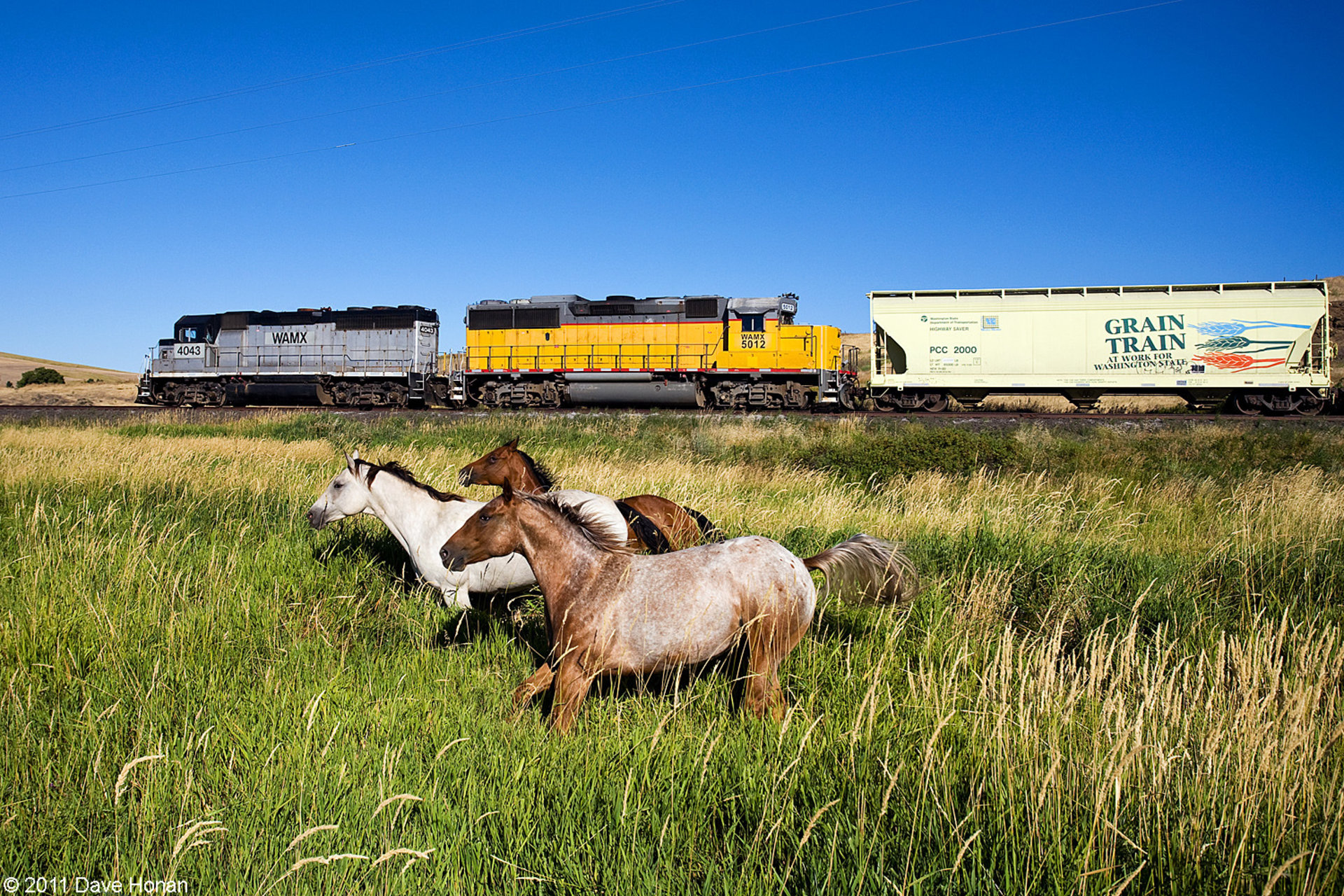 EMD GP40 – foto 15