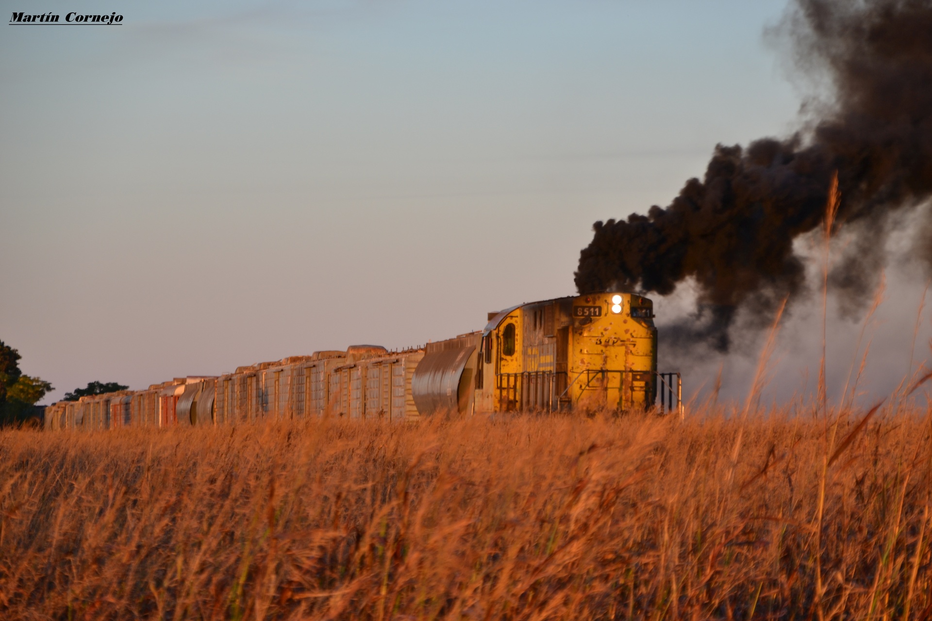 ALCo RSD-16 – photo 7