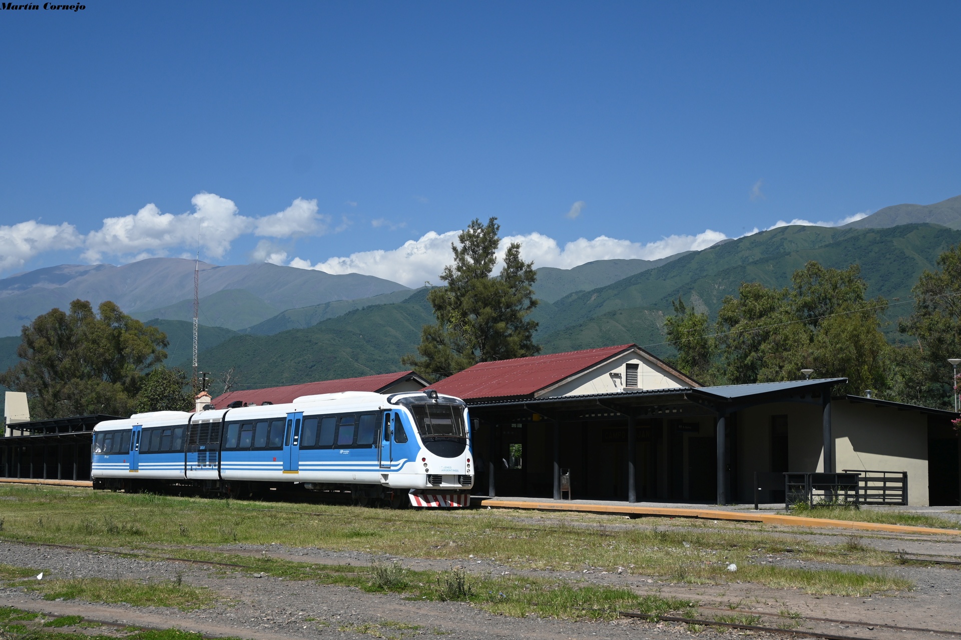 Emepa Alerce – photo 2