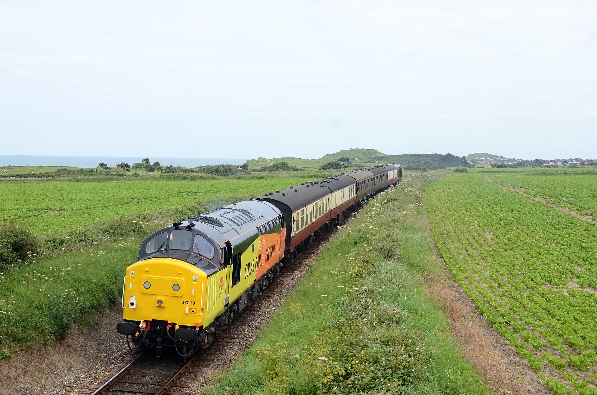 English Electric 37/0 – photo 19