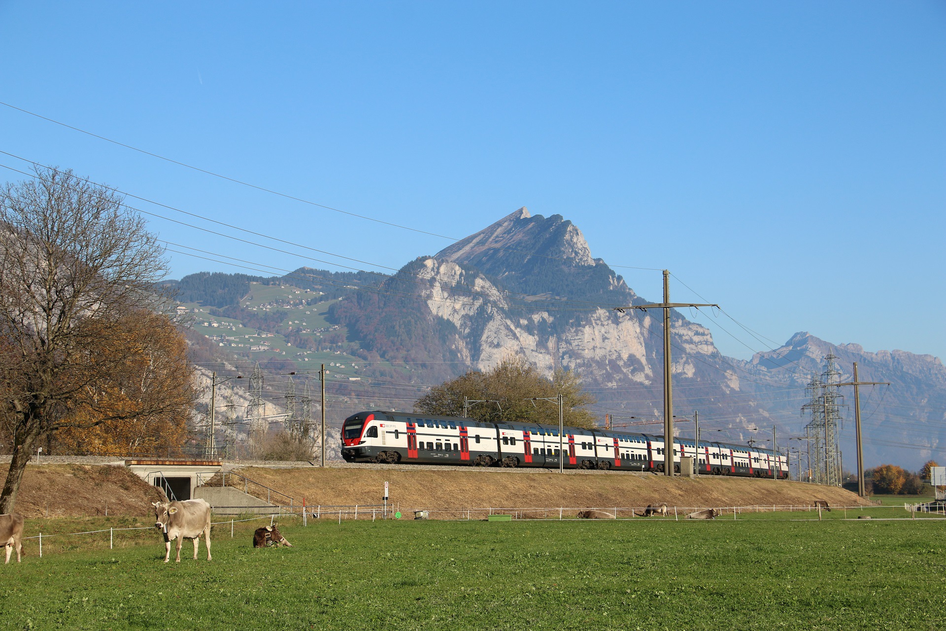 Stadler RABe 511 – photo 20