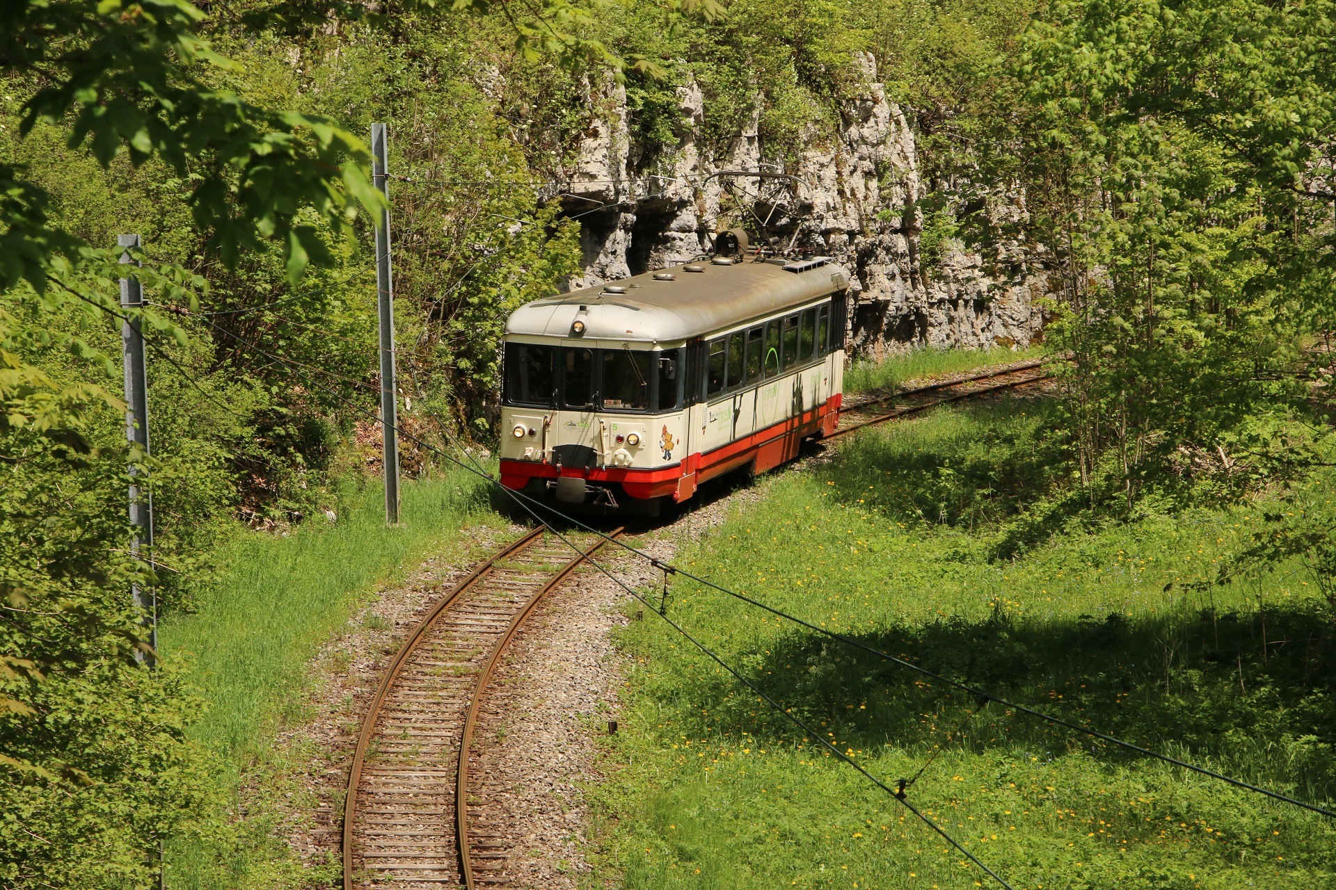 SAAS TRN BDe 4/4 1-5 – photo 5