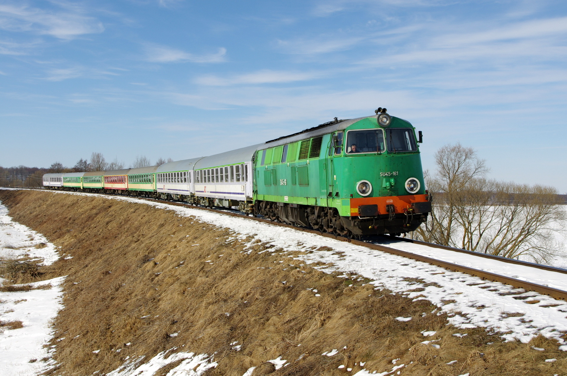 Cegielski 301D – photo 19