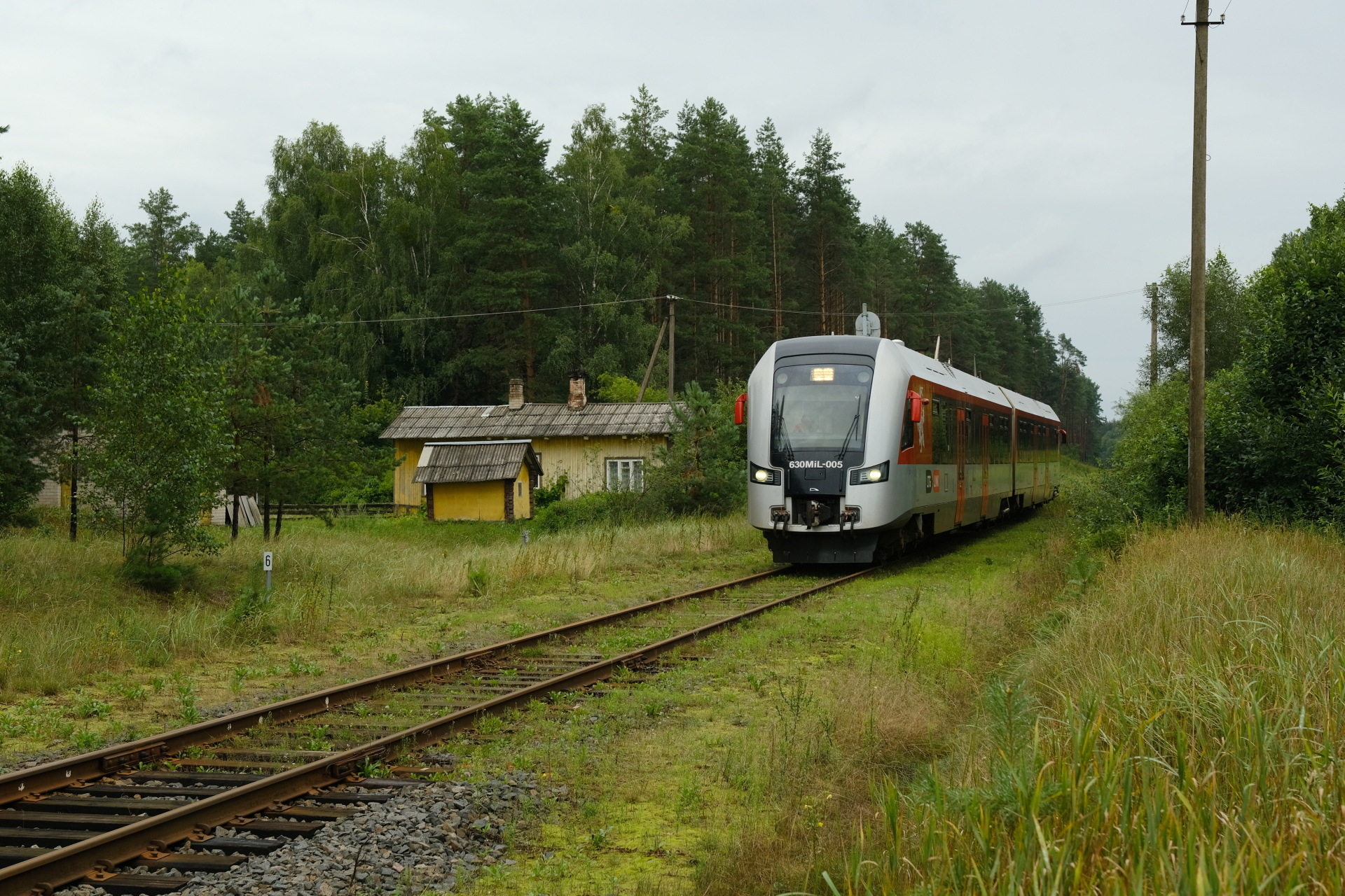PESA 630M – foto 16