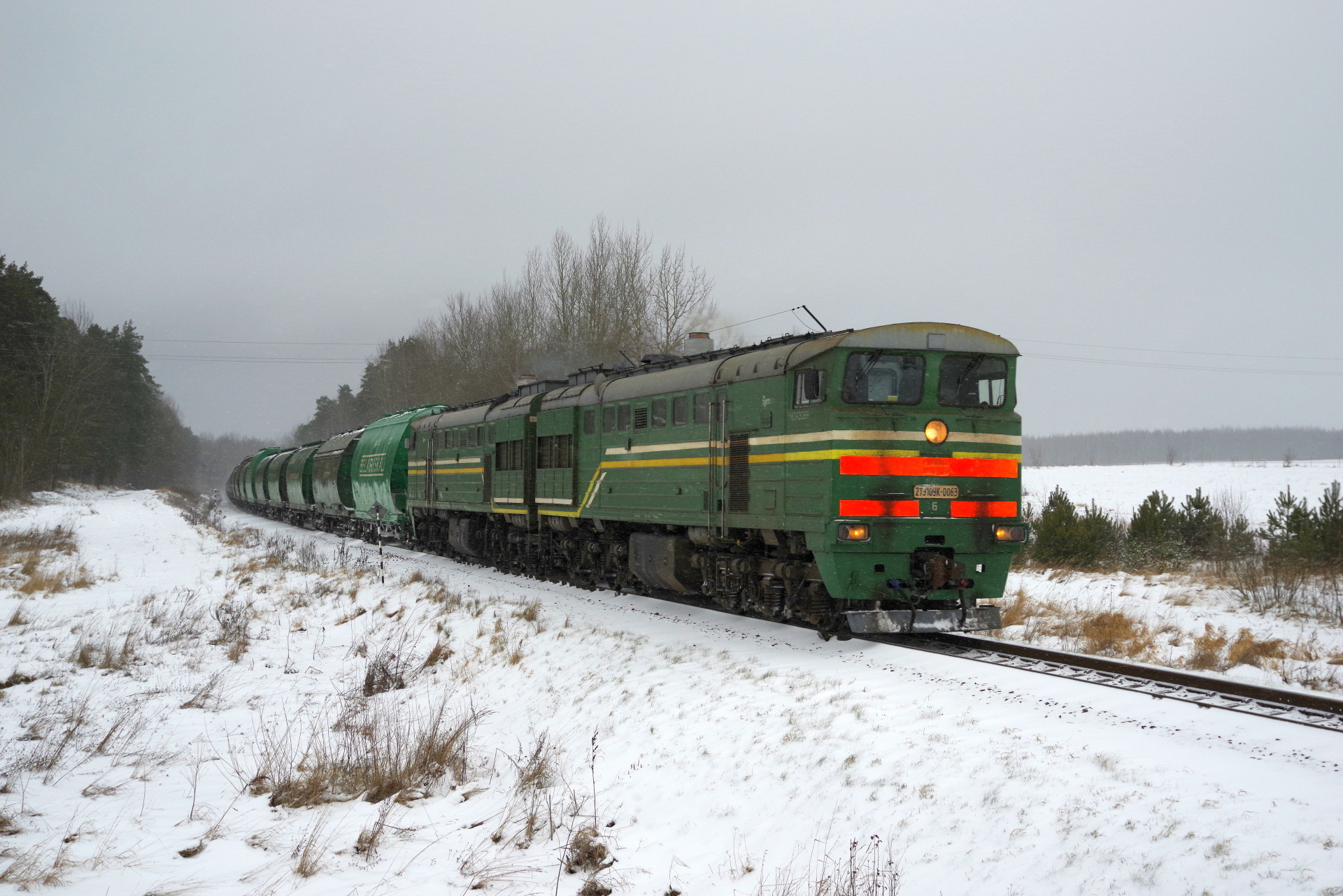 Luhanskteplovoz 2TE10U – photo 18