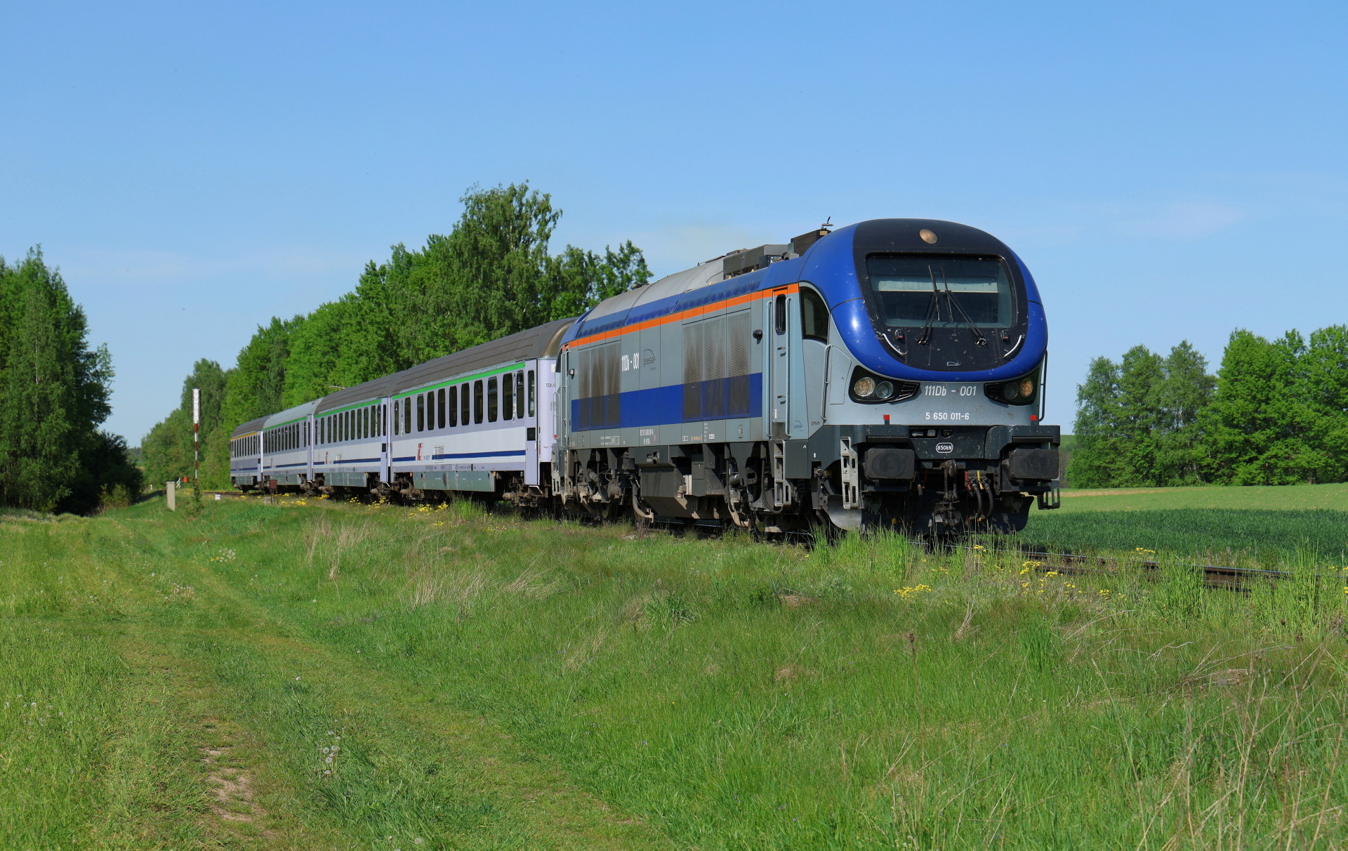 PESA Gama 111Db – photo 17
