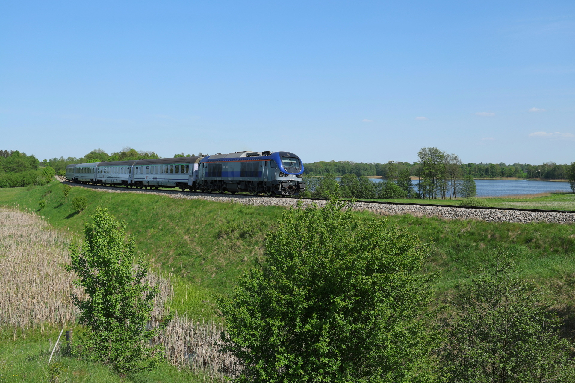 PESA Gama 111Db – photo 18