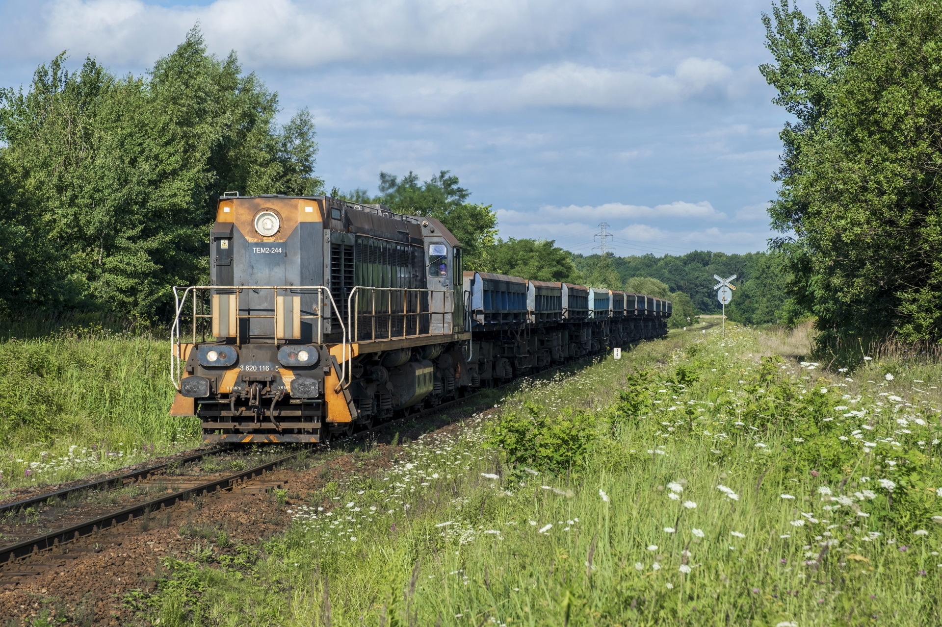 Luhanskteplovoz PKP SM48 / TEM2A – photo 21