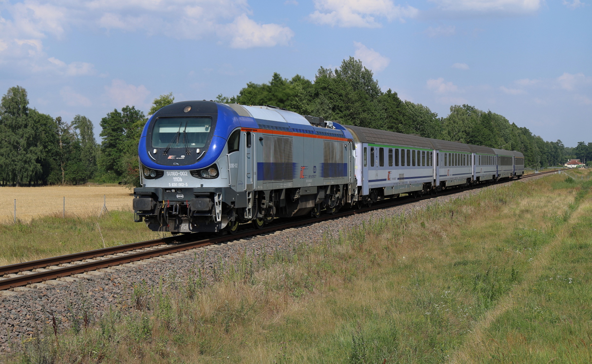 PESA Gama 111Db – photo 15