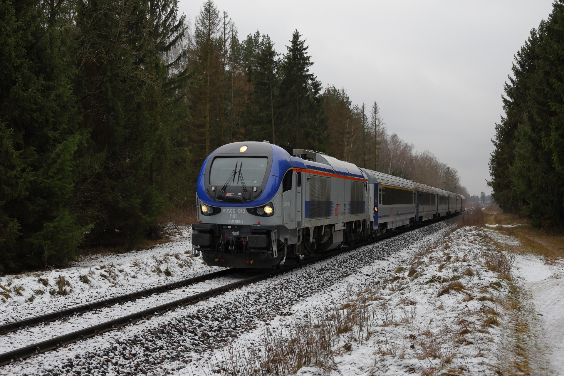 PESA Gama 111Db – photo 10
