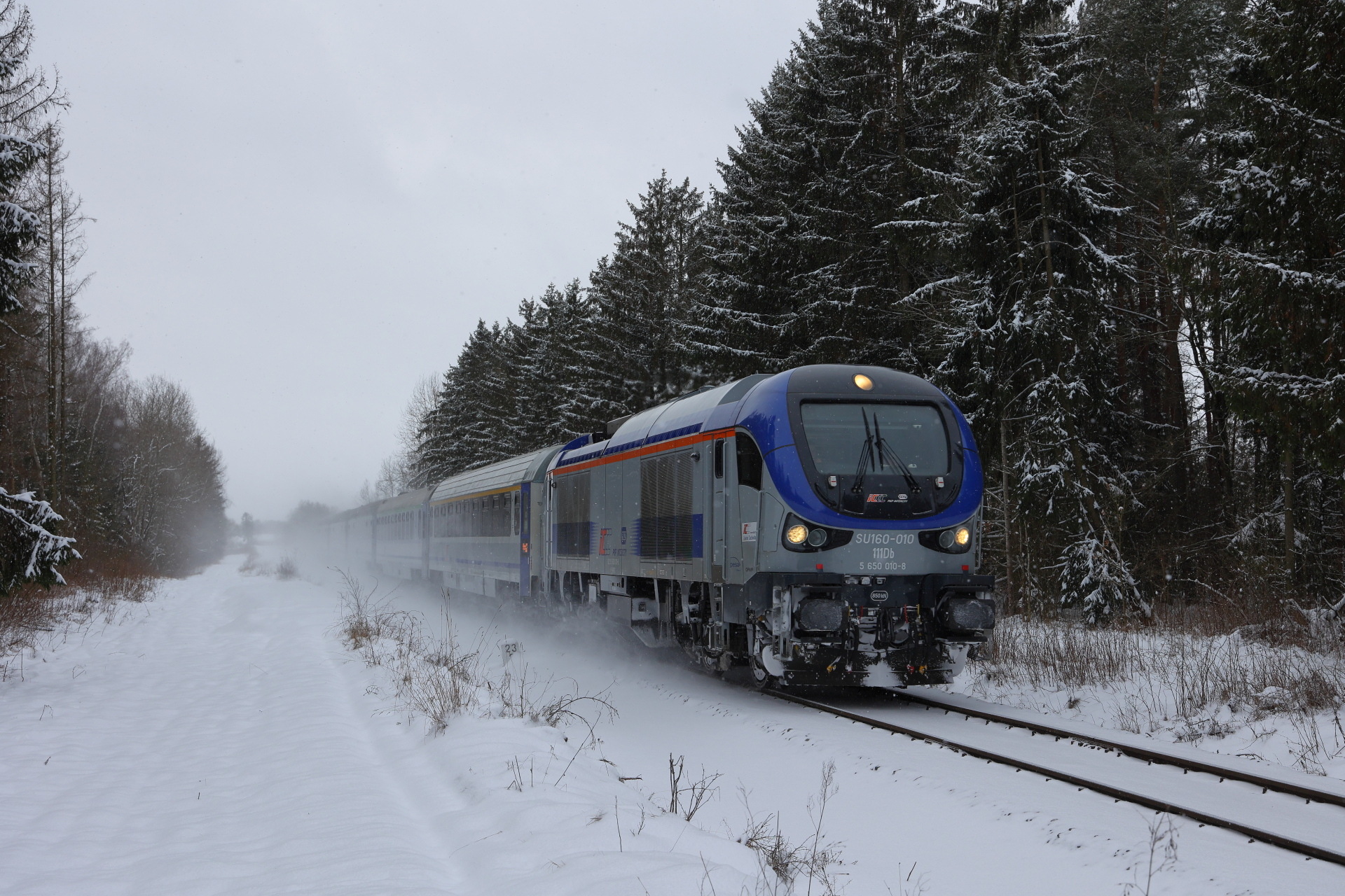 PESA Gama 111Db – photo 9