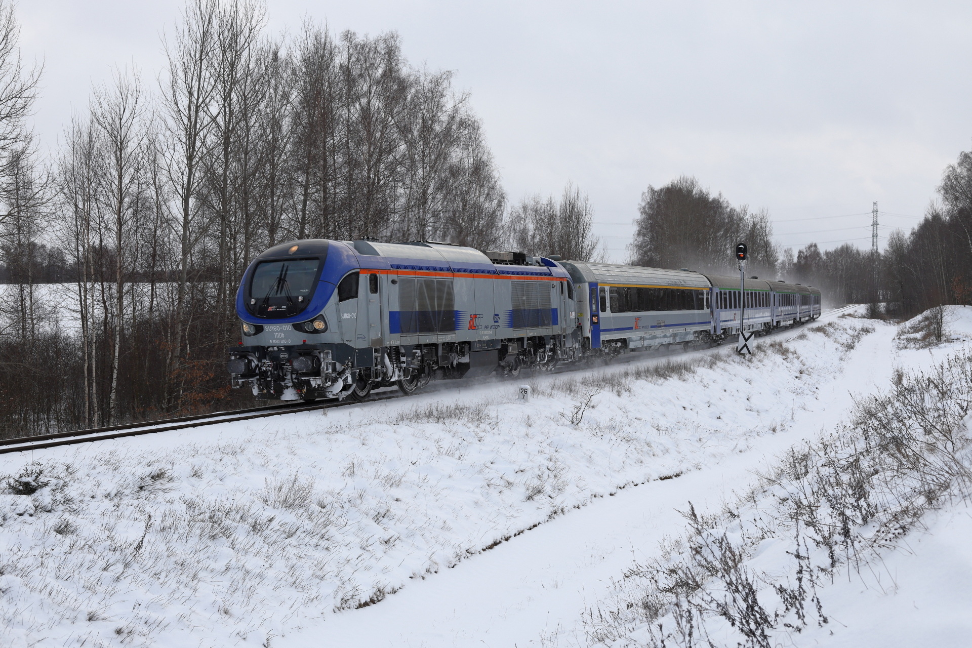 PESA Gama 111Db – photo 8