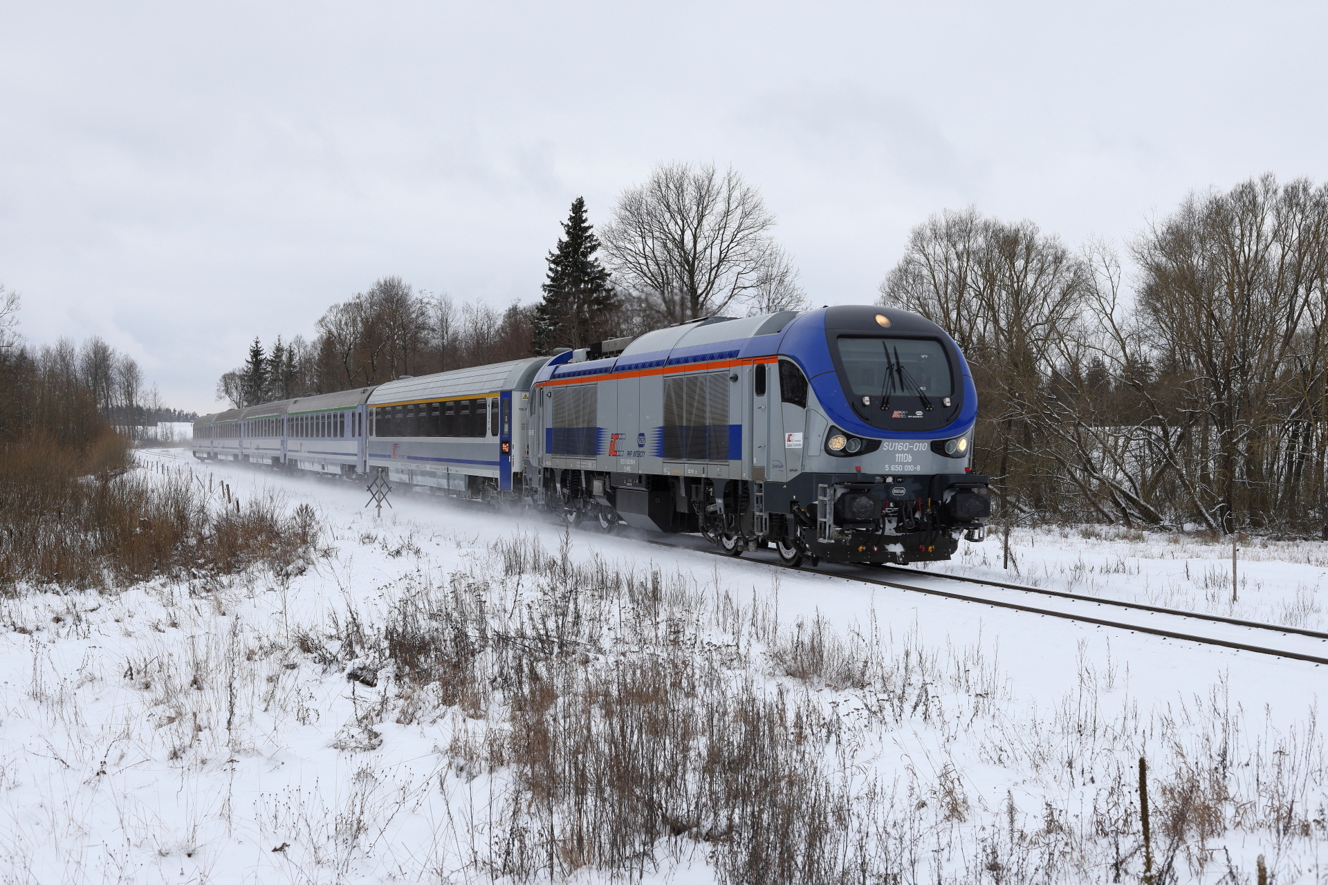 PESA Gama 111Db – photo 7