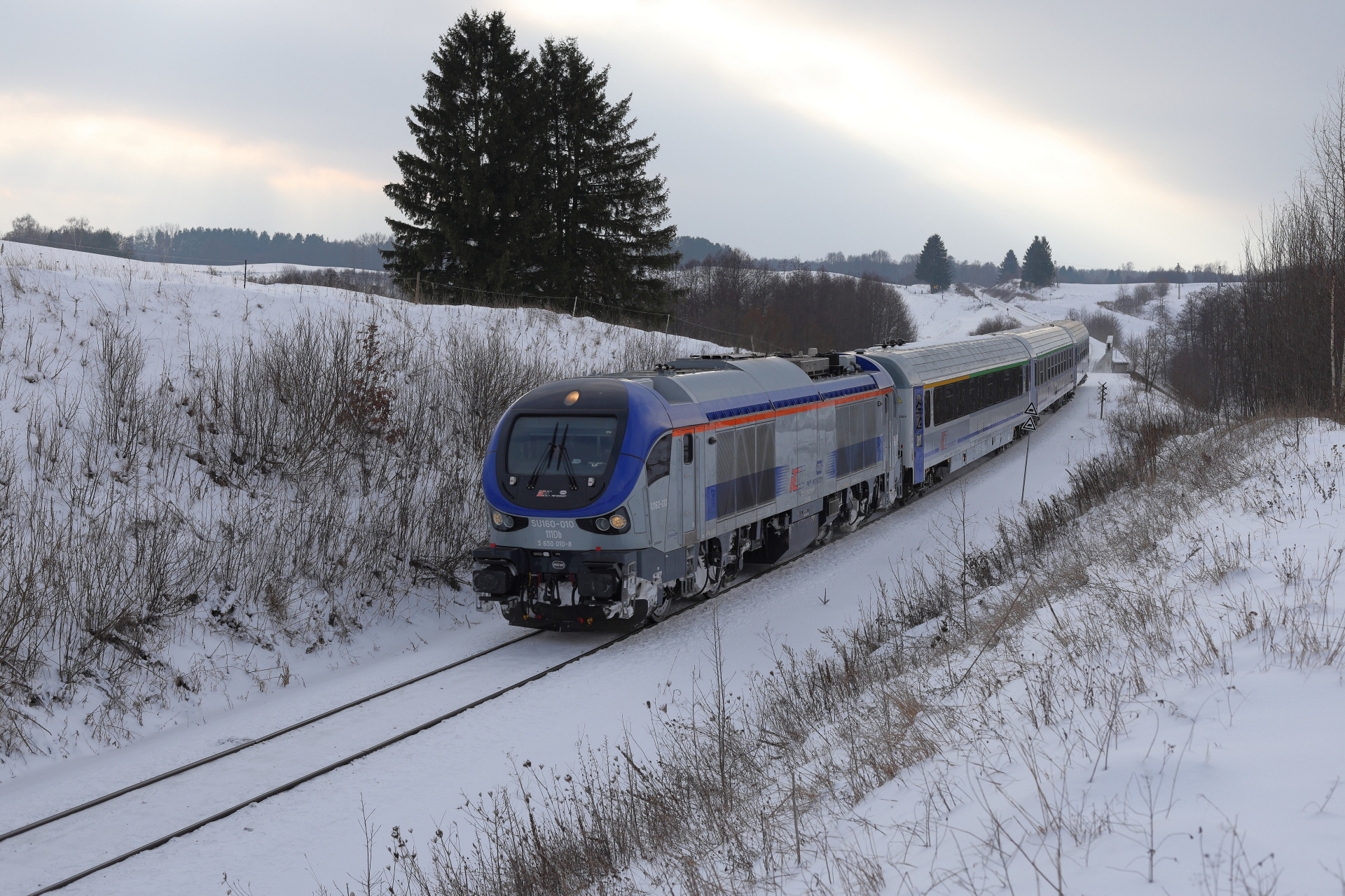 PESA Gama 111Db – photo 5