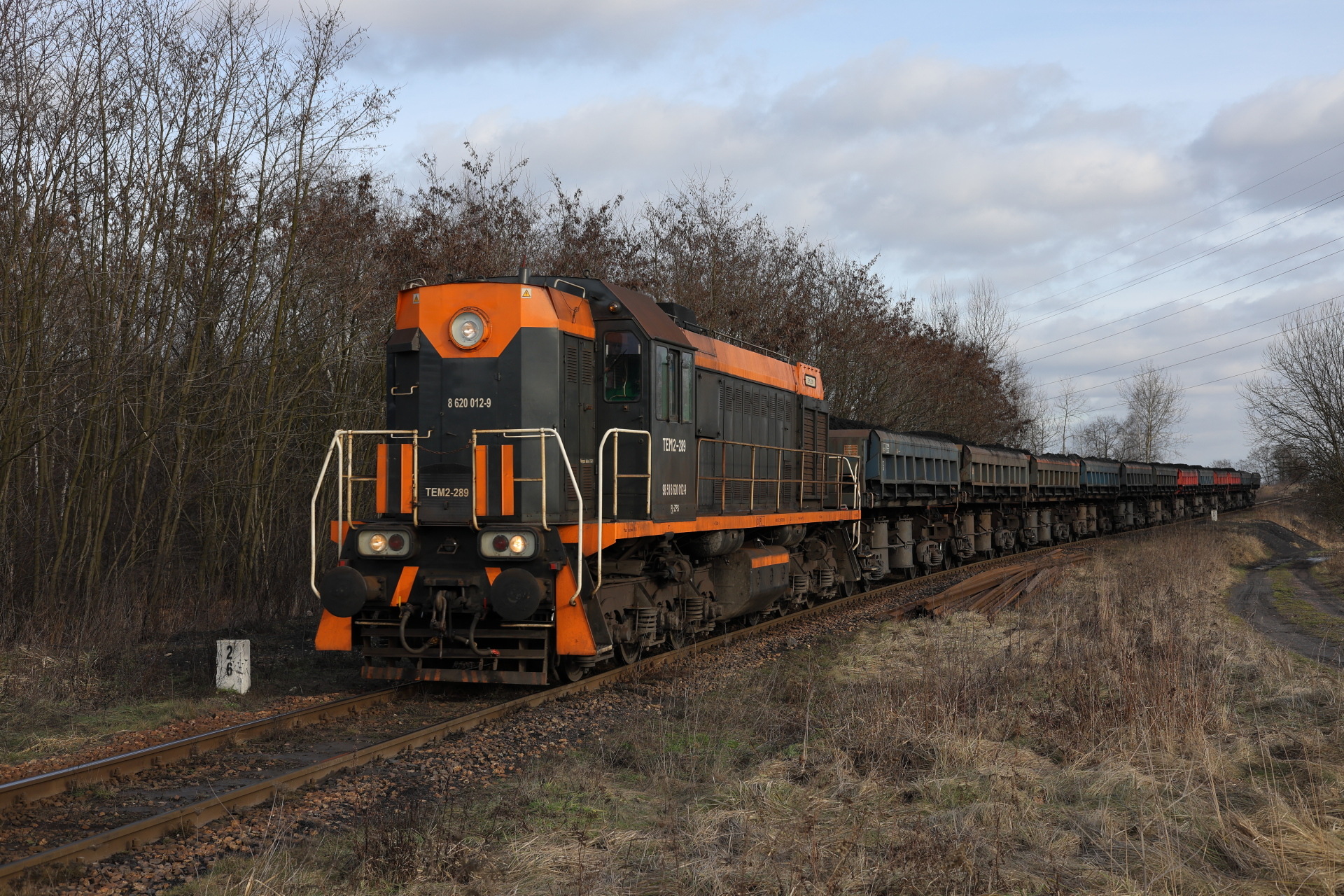 Luhanskteplovoz PKP SM48 / TEM2A – photo 19
