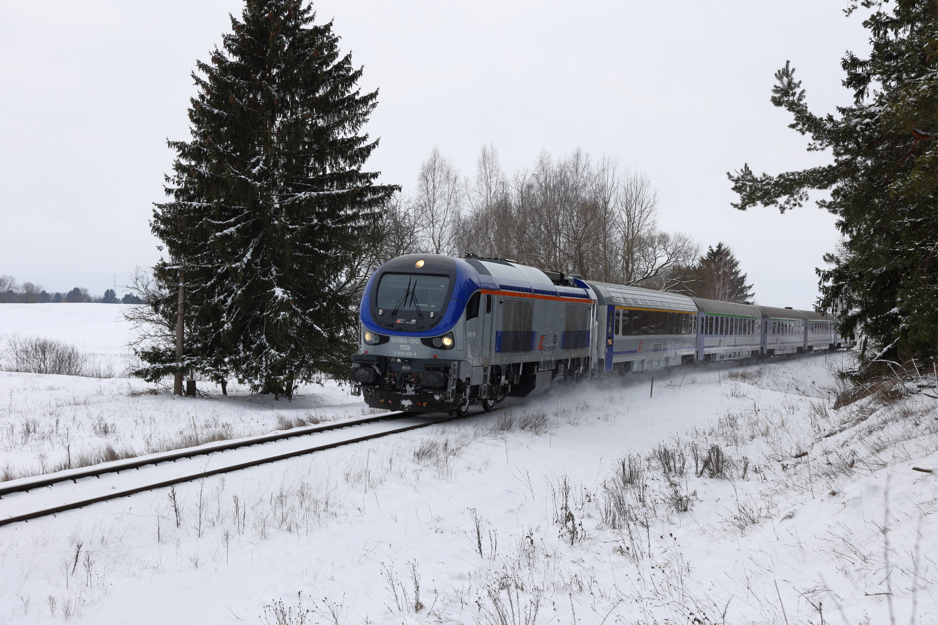 PESA Gama 111Db – photo 6