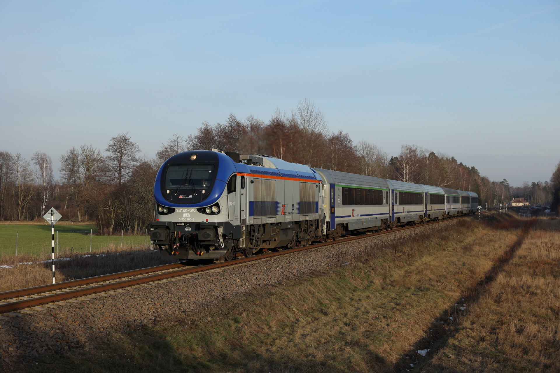 PESA Gama 111Db – photo 4
