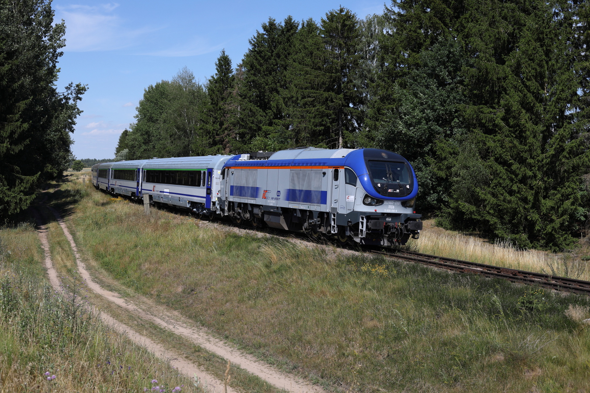 PESA Gama 111Db – photo 2