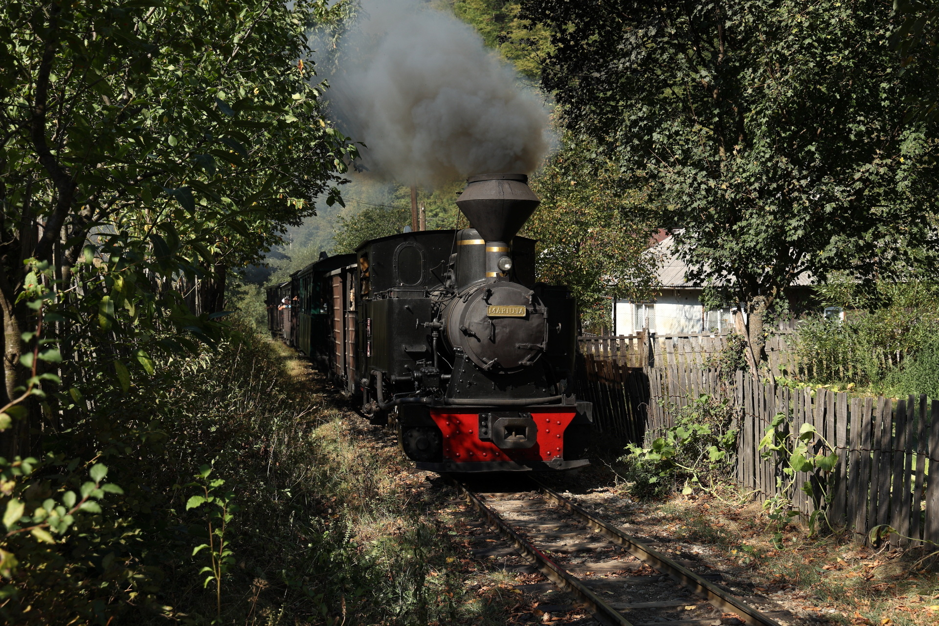 Reghin CFF 764R – photo 5
