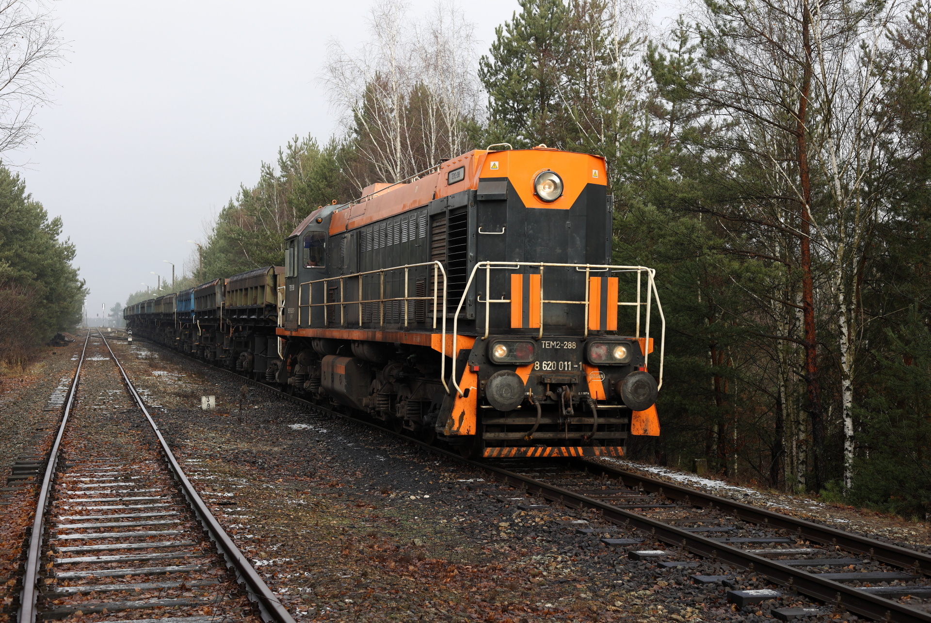 Luhanskteplovoz PKP SM48 / TEM2A – photo 5