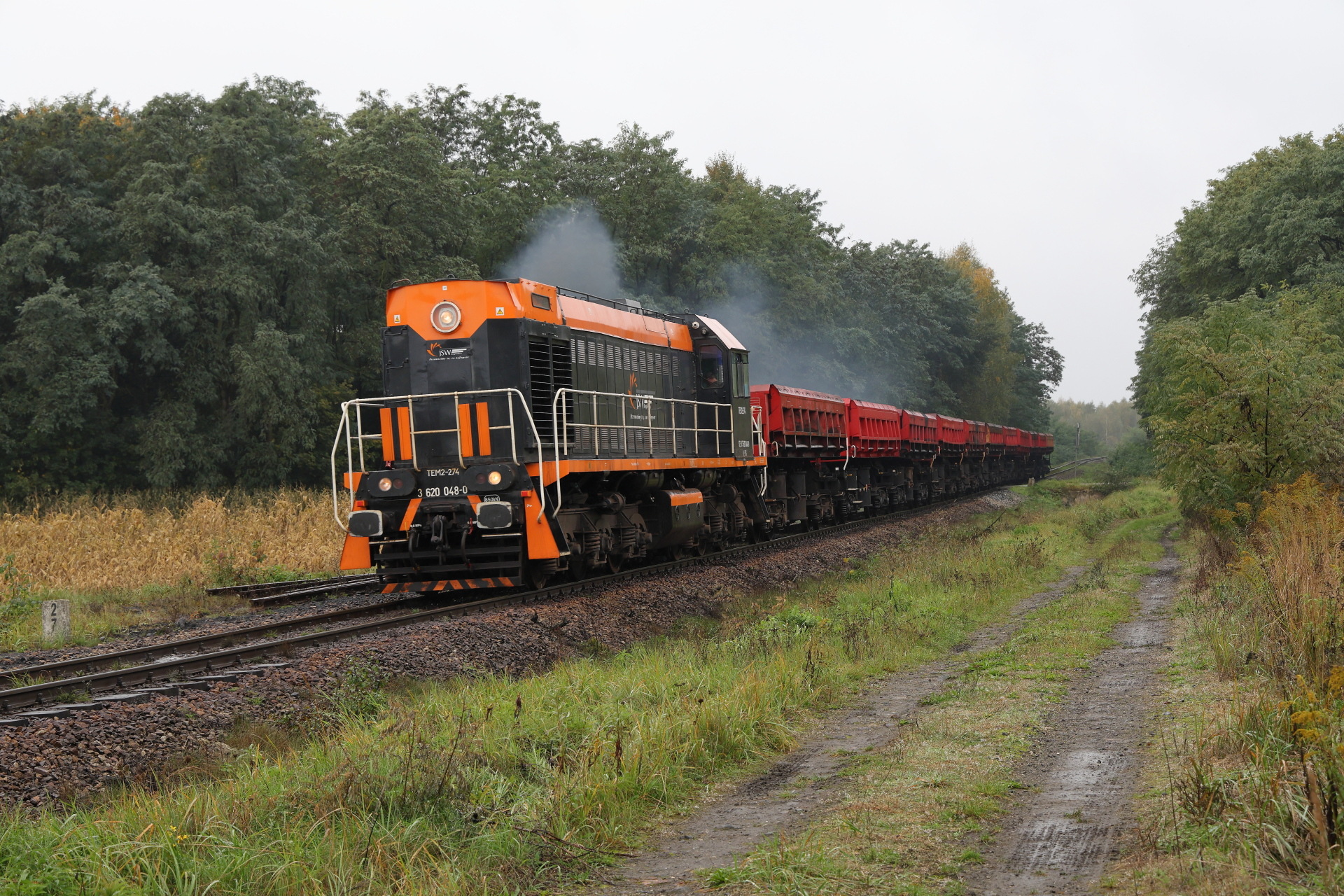 Luhanskteplovoz PKP SM48 / TEM2A – photo 2