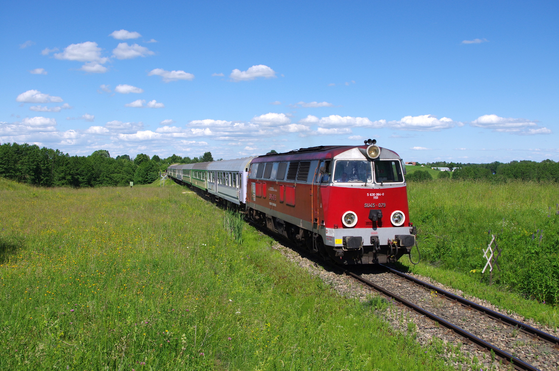 Cegielski 301D – photo 15