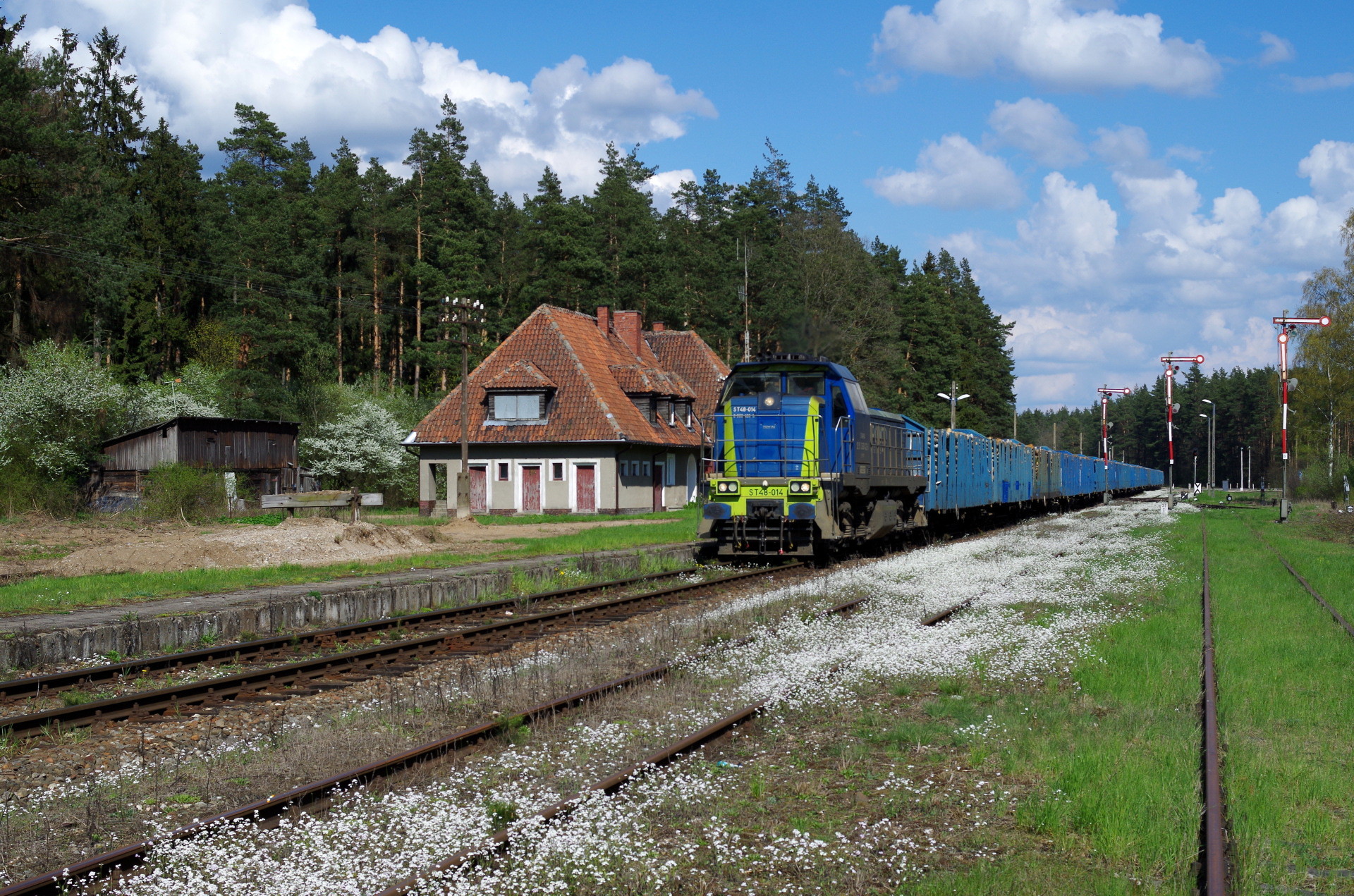 Newag 15D/16D – foto 22