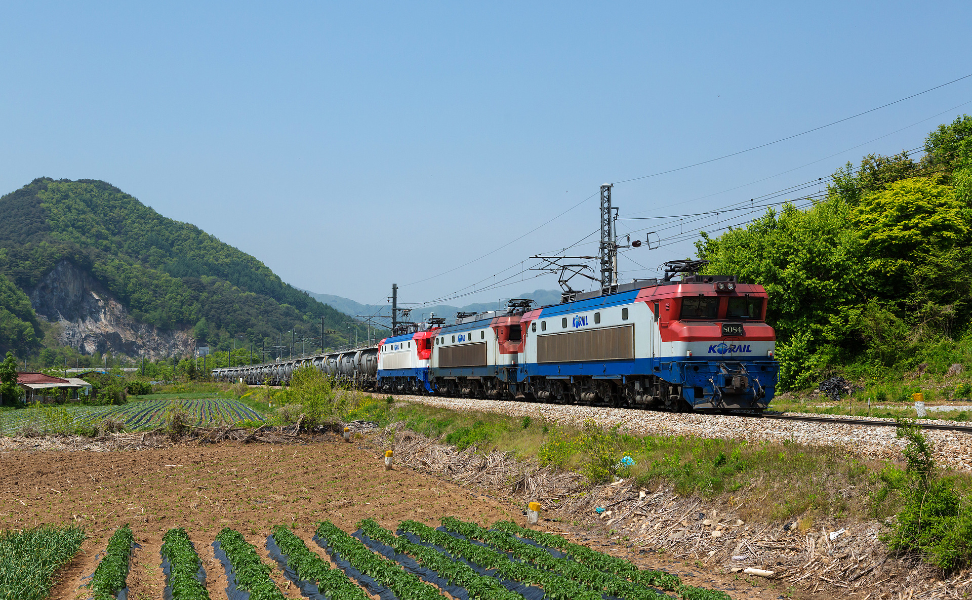 Alstom Korail 8000 – photo 6