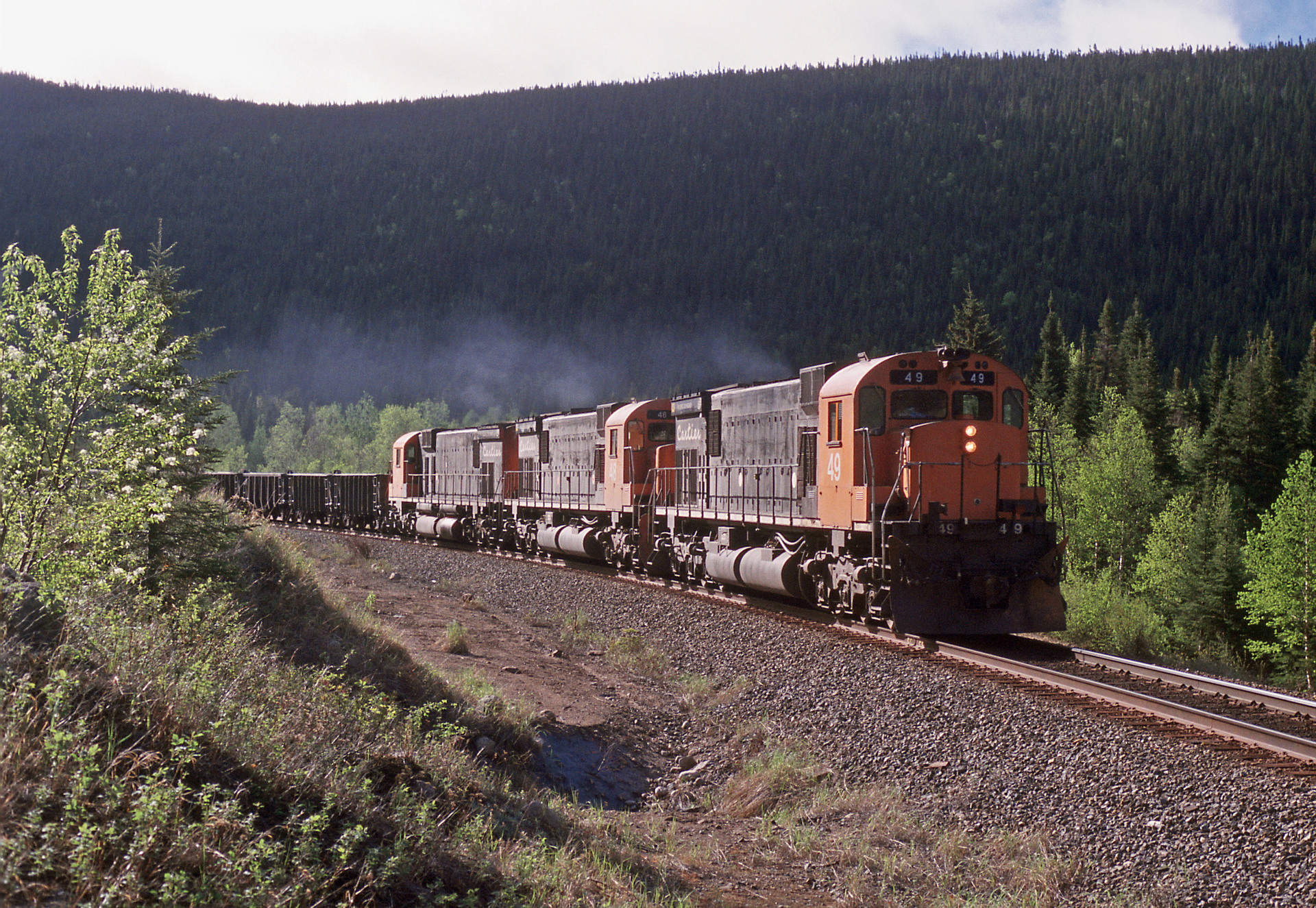 MLW M636 – photo 8
