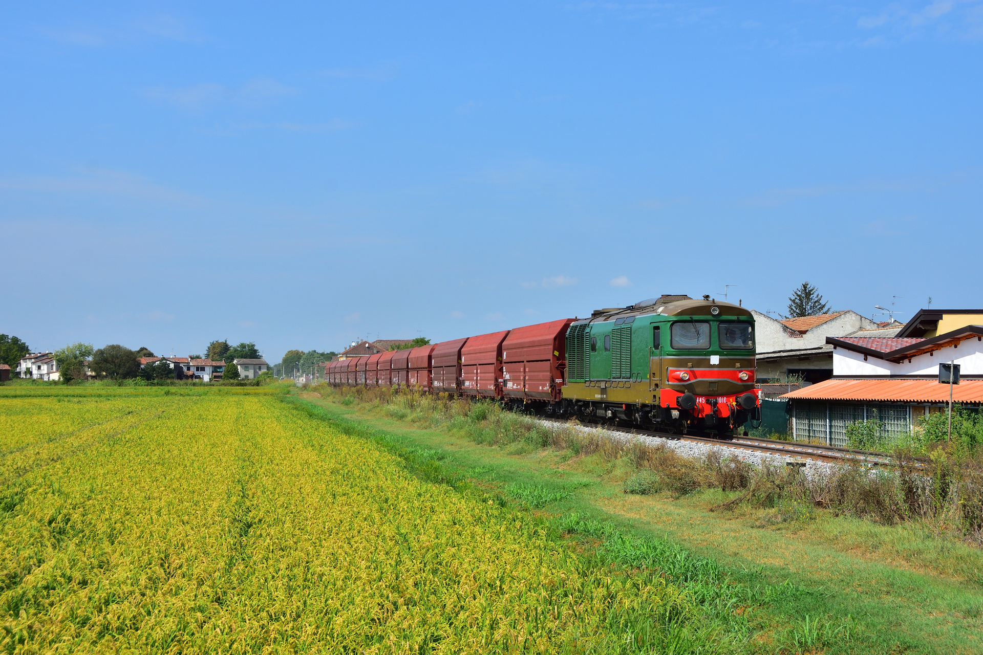 Fiat D445 – photo 22