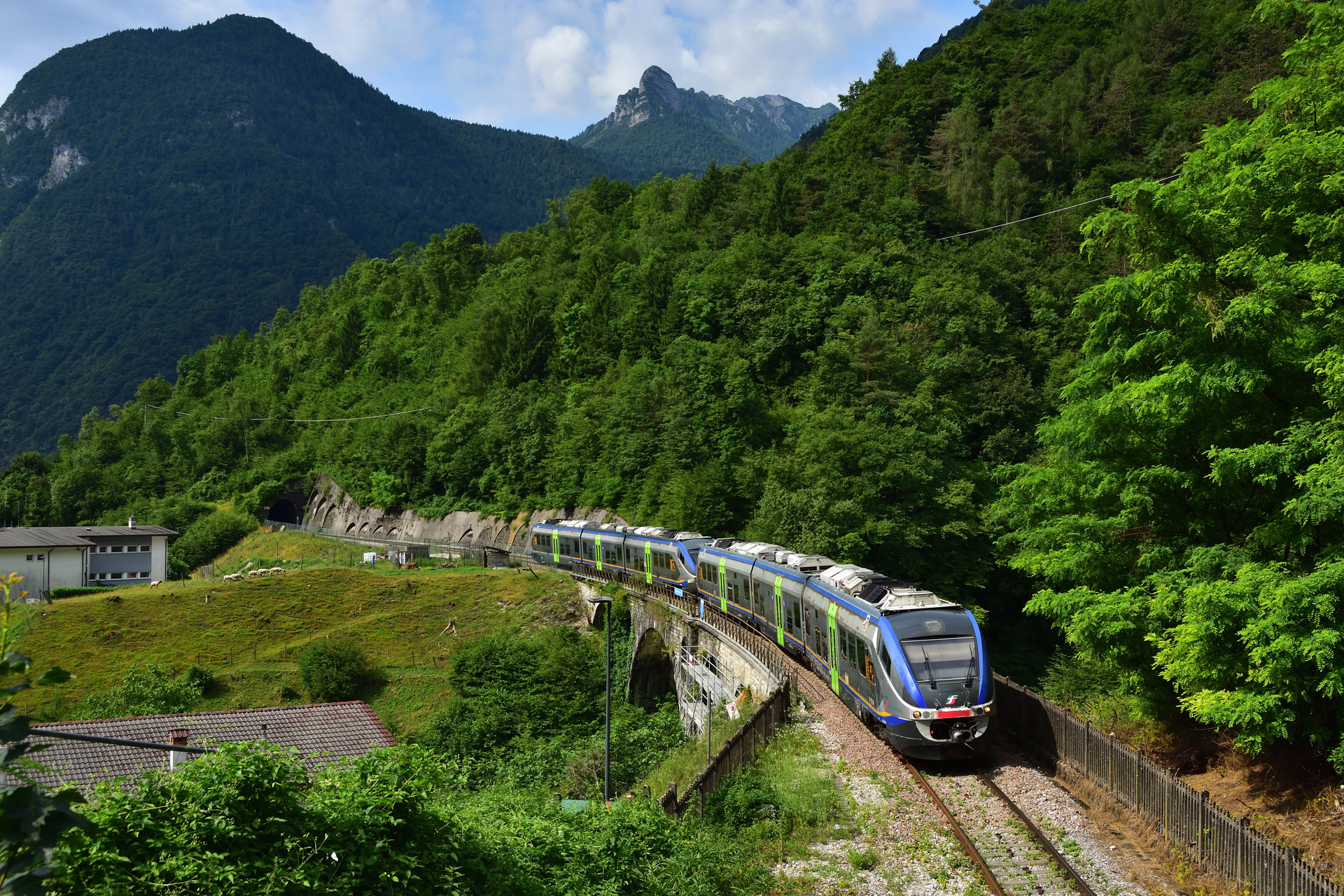 Alstom ALn 501 – photo 3