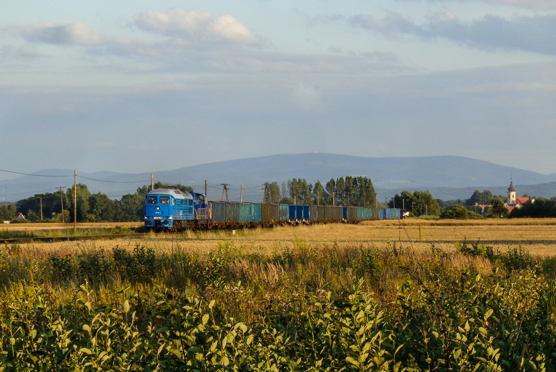Luhanskteplovoz Br 131 / 231 – Foto 8