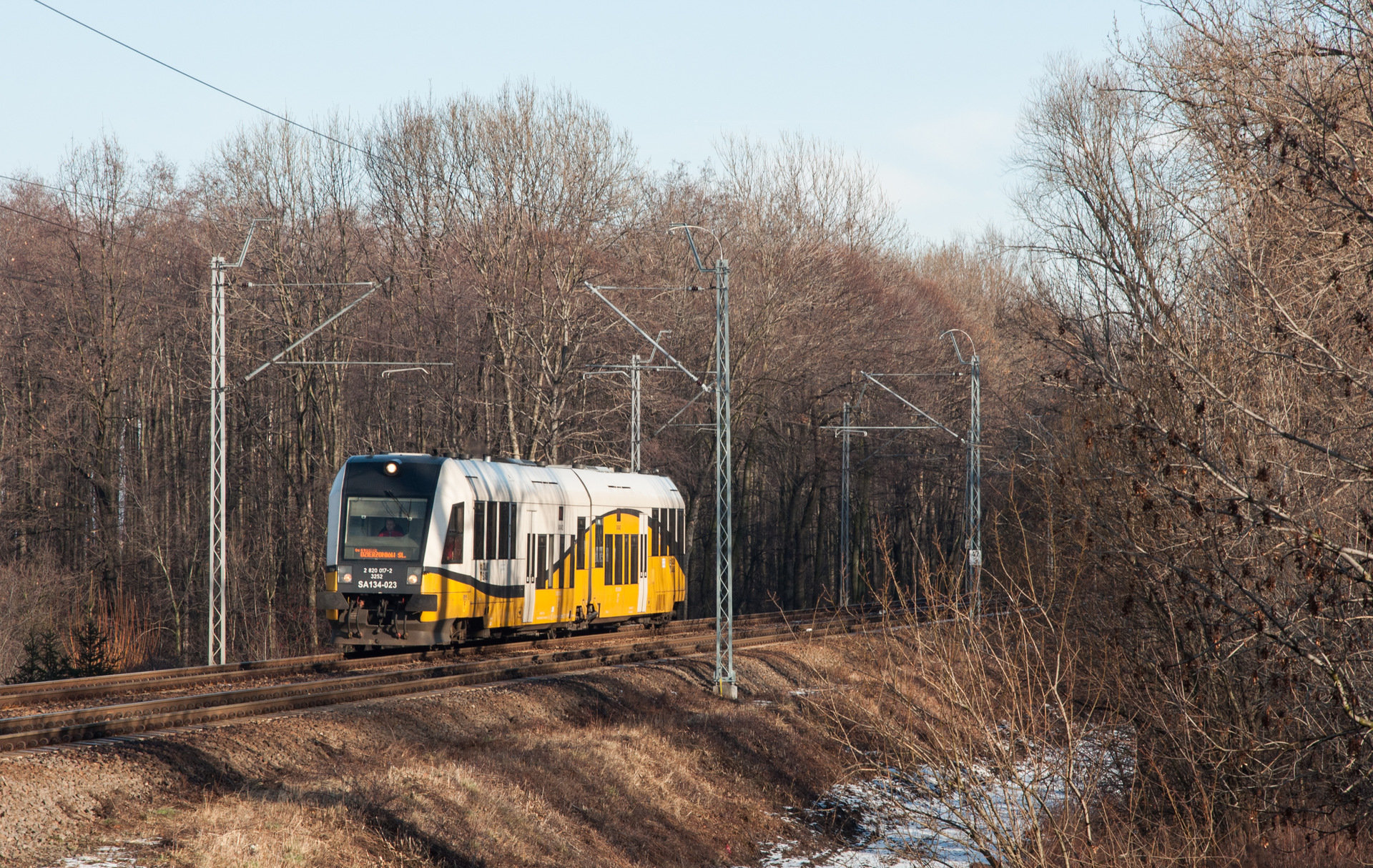 PESA SA134 – photo 10