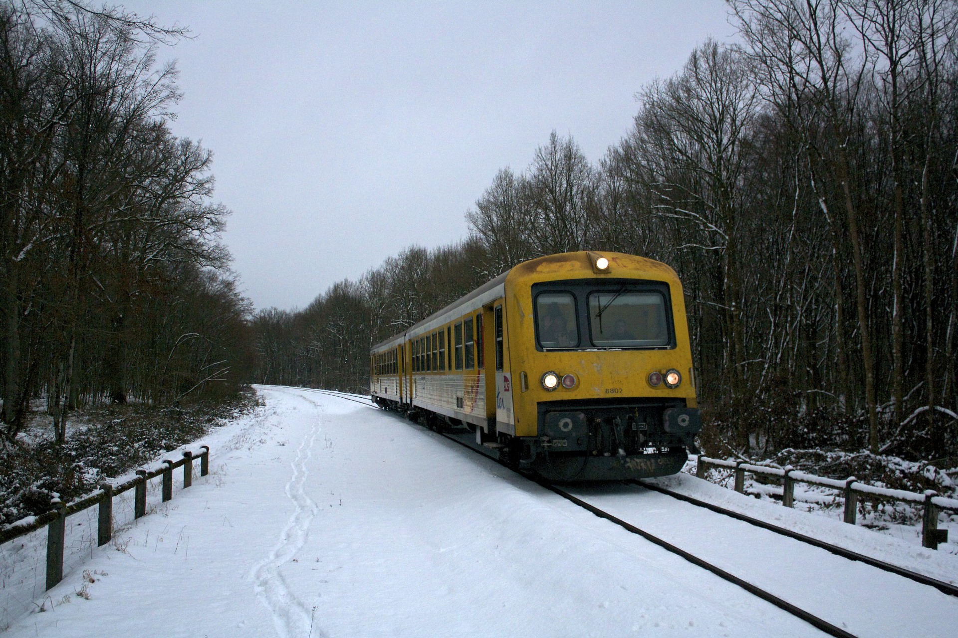 ANF X 4750 – foto 6