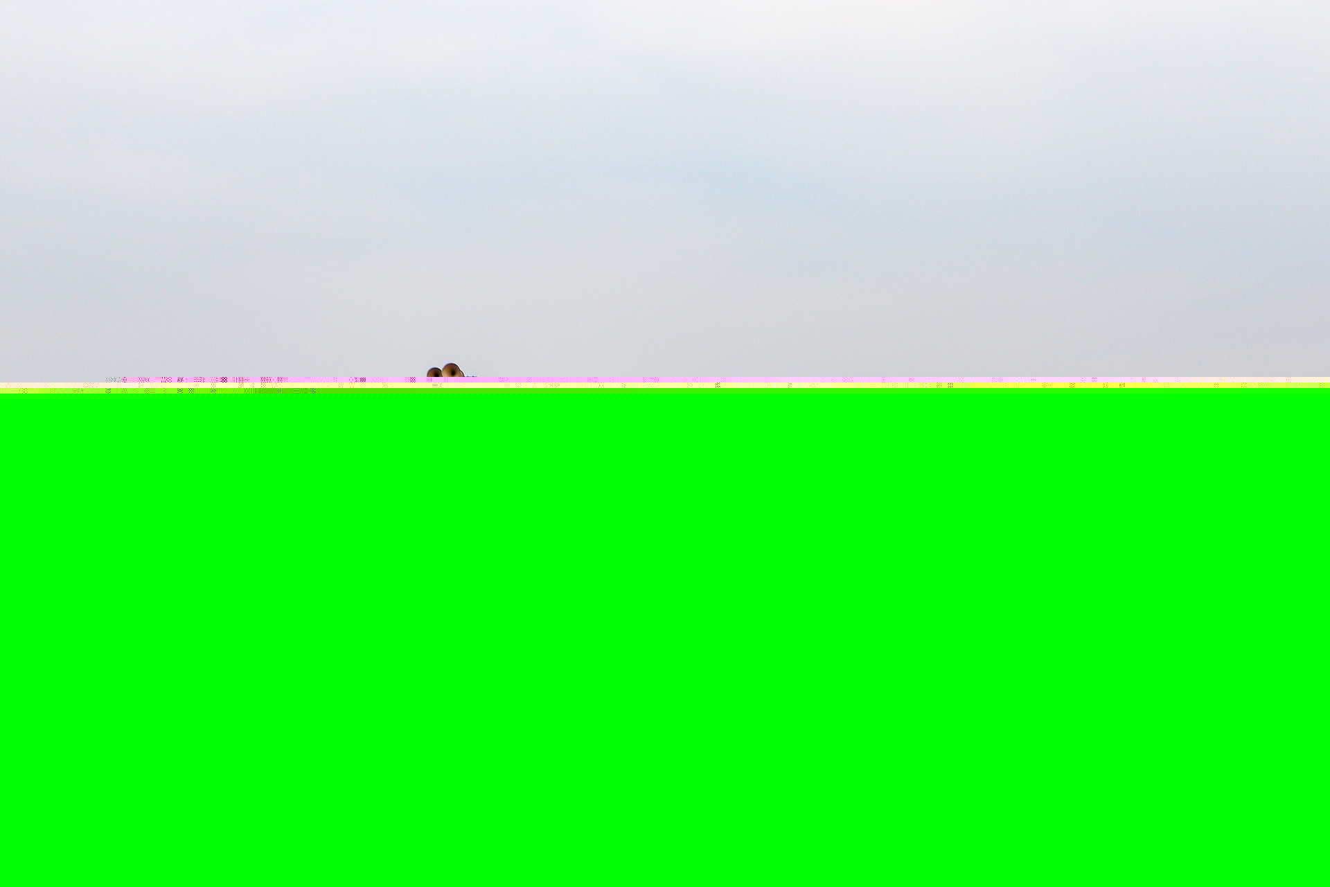 BLW WDG-4D – foto 12