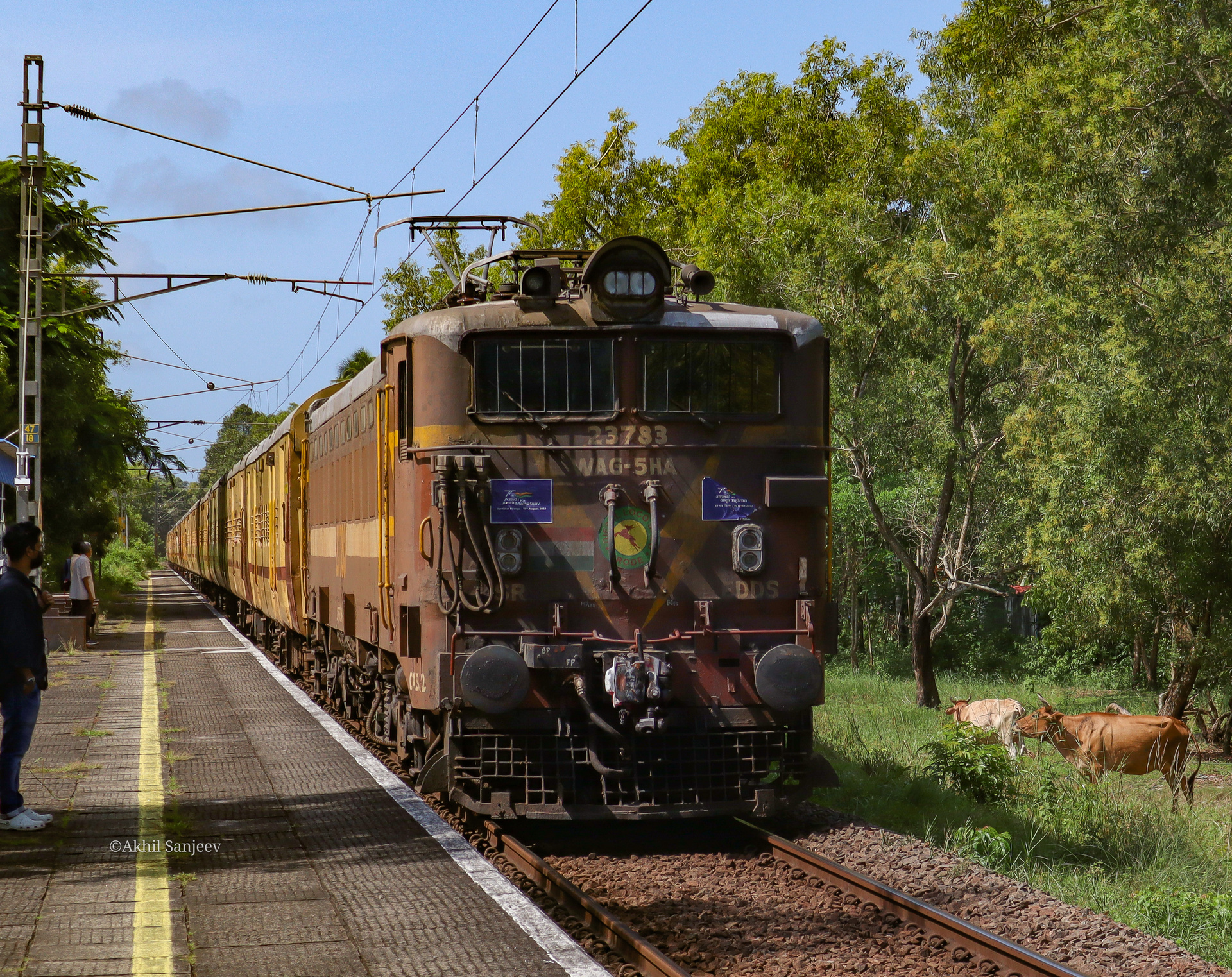 CLW WAG-5HA – photo 12