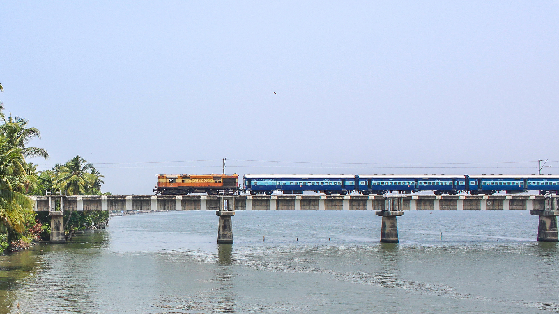 BLW DL560C – photo 14