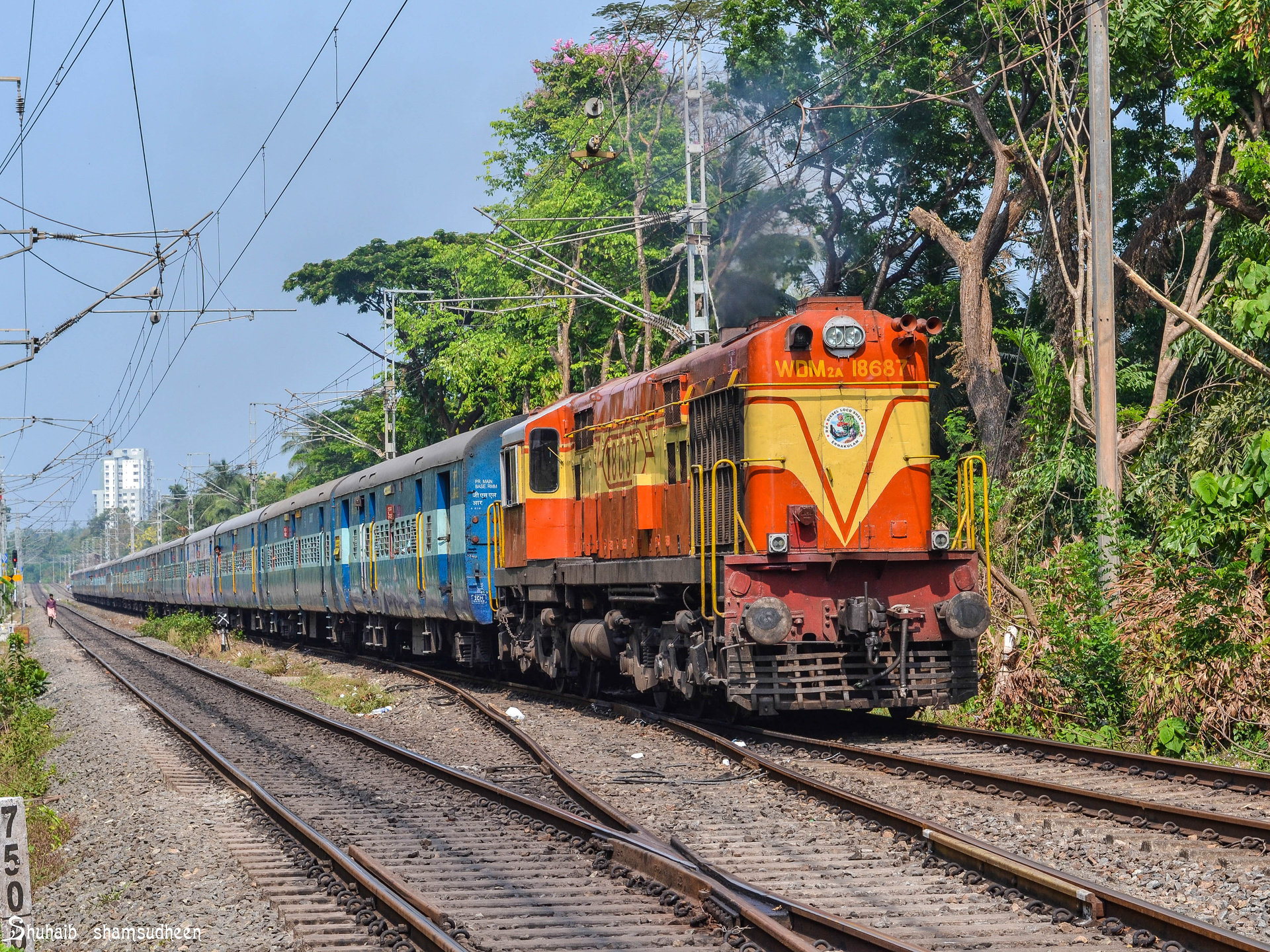 BLW DL560C – photo 15