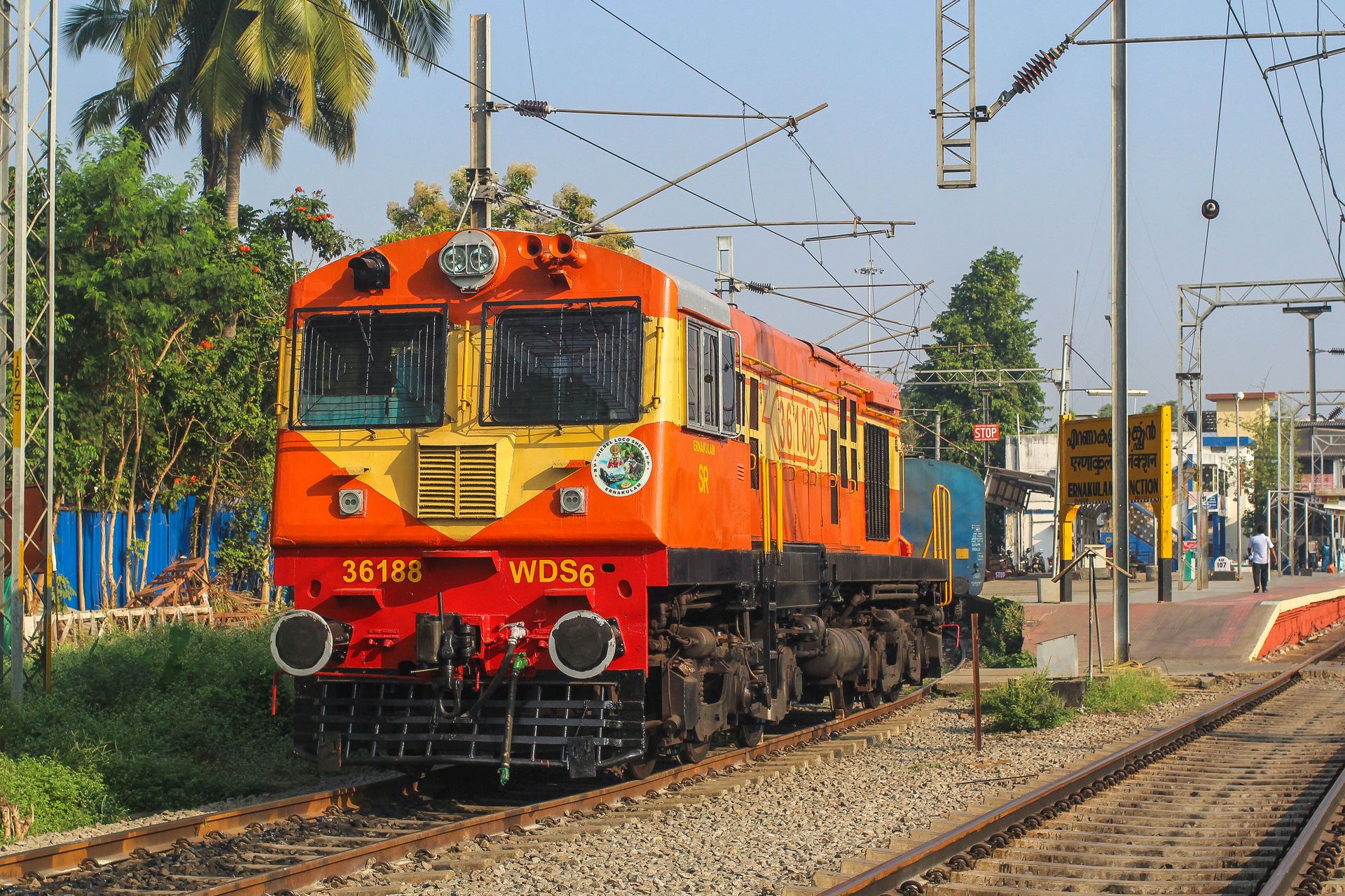 BLW WDS-6 – photo 6