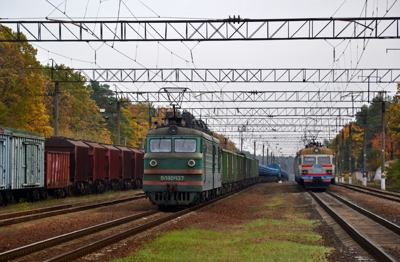 NEVZ VL80K – photo 15