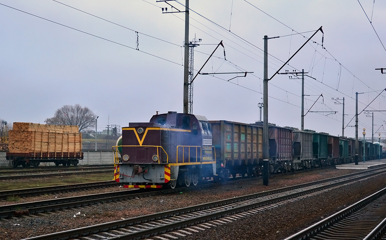 MuromTZ TGM23B – photo 11