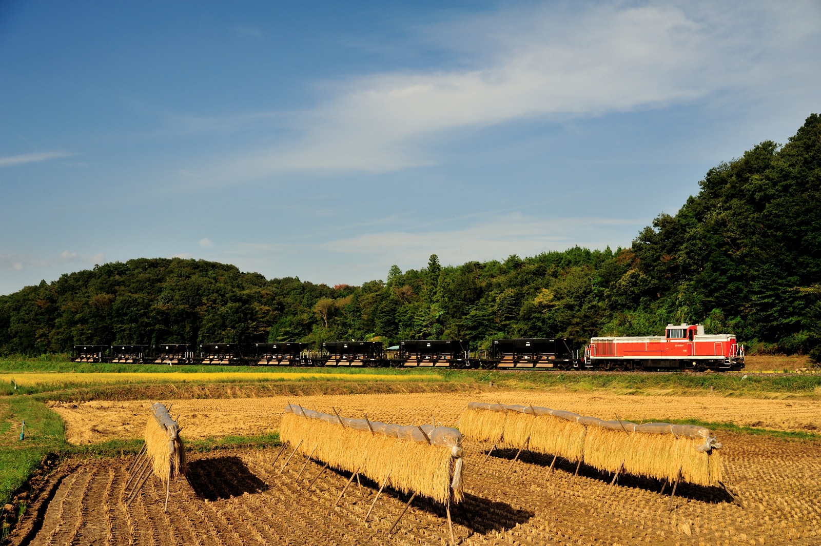 Nippon Sharyo JNR DE10 – photo 3