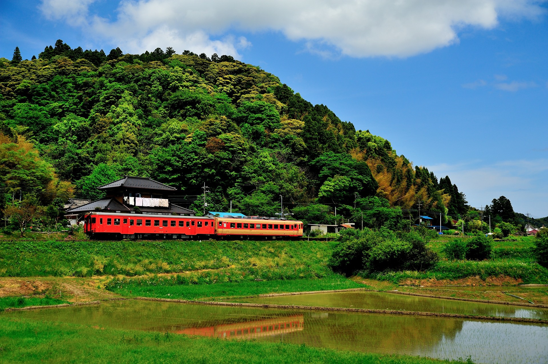 JNR KiHa 52 – photo 3