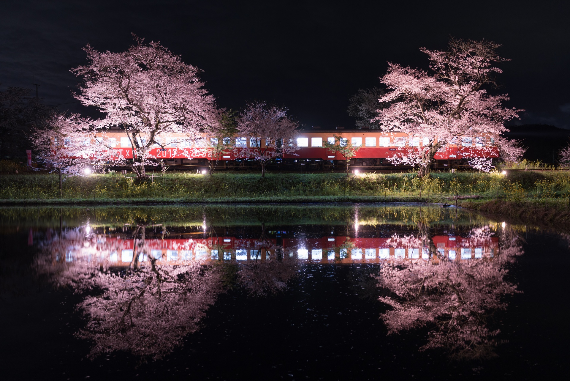 Nippon Sharyo Kominato KiHa 20 – photo 2