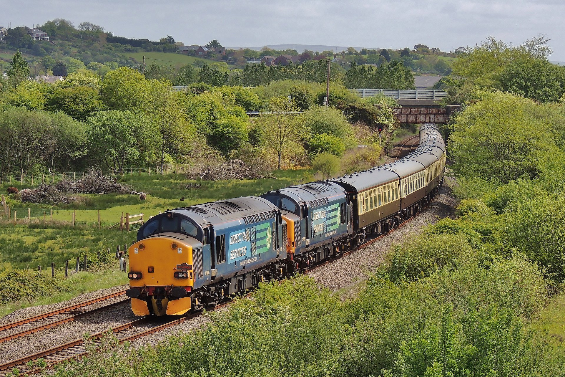 English Electric 37/6 – foto 18