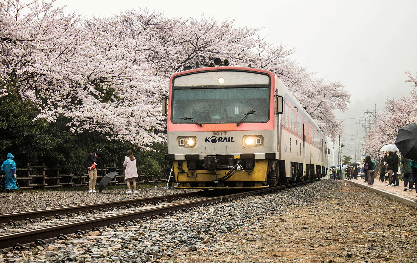 Daewoo Korail 9000 – foto 2